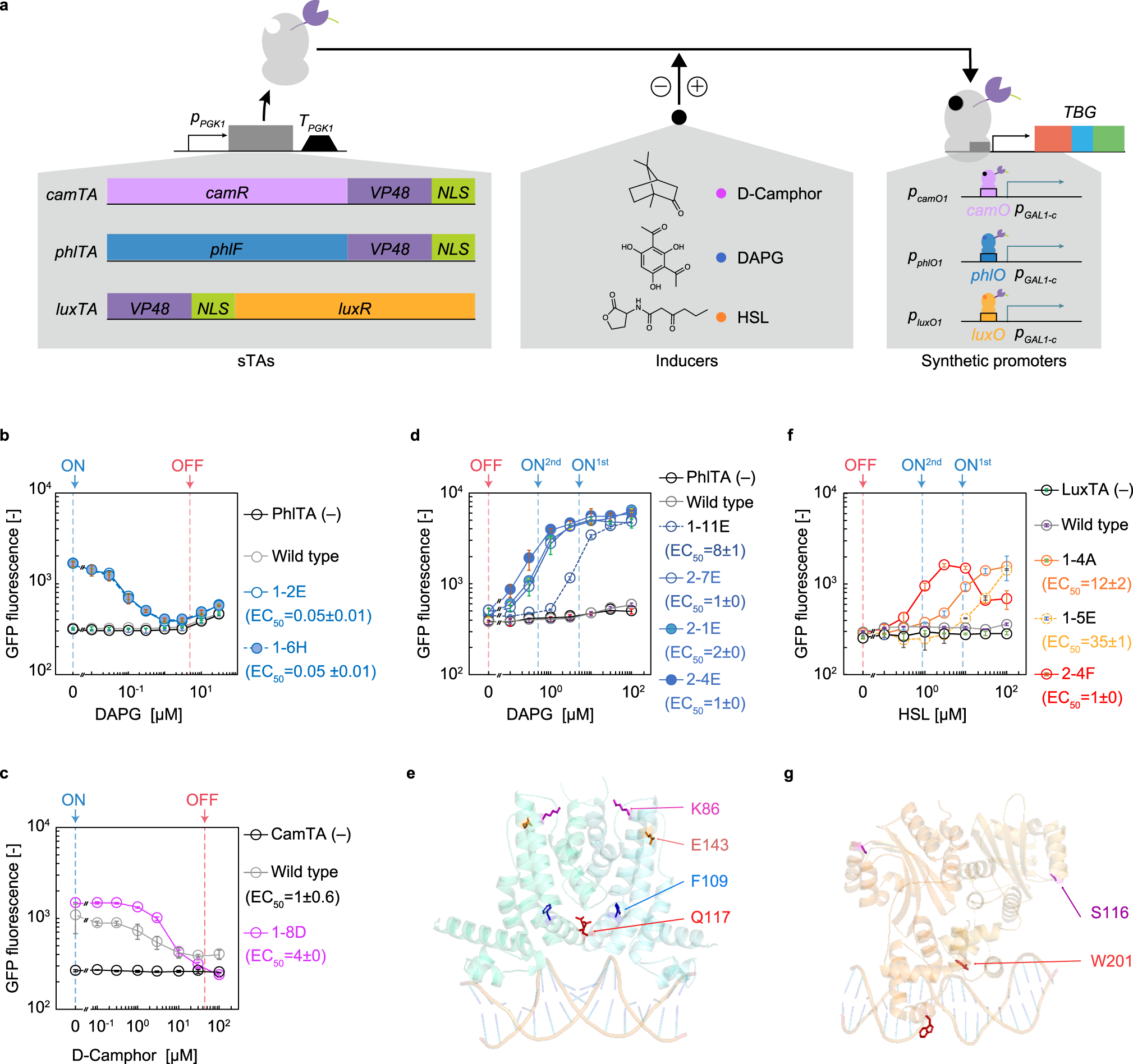 Fig. 4: Creation and evolution (as assessed by S/N ratio, sensitivity, and behaviour type) of yeast transcriptional switches.
