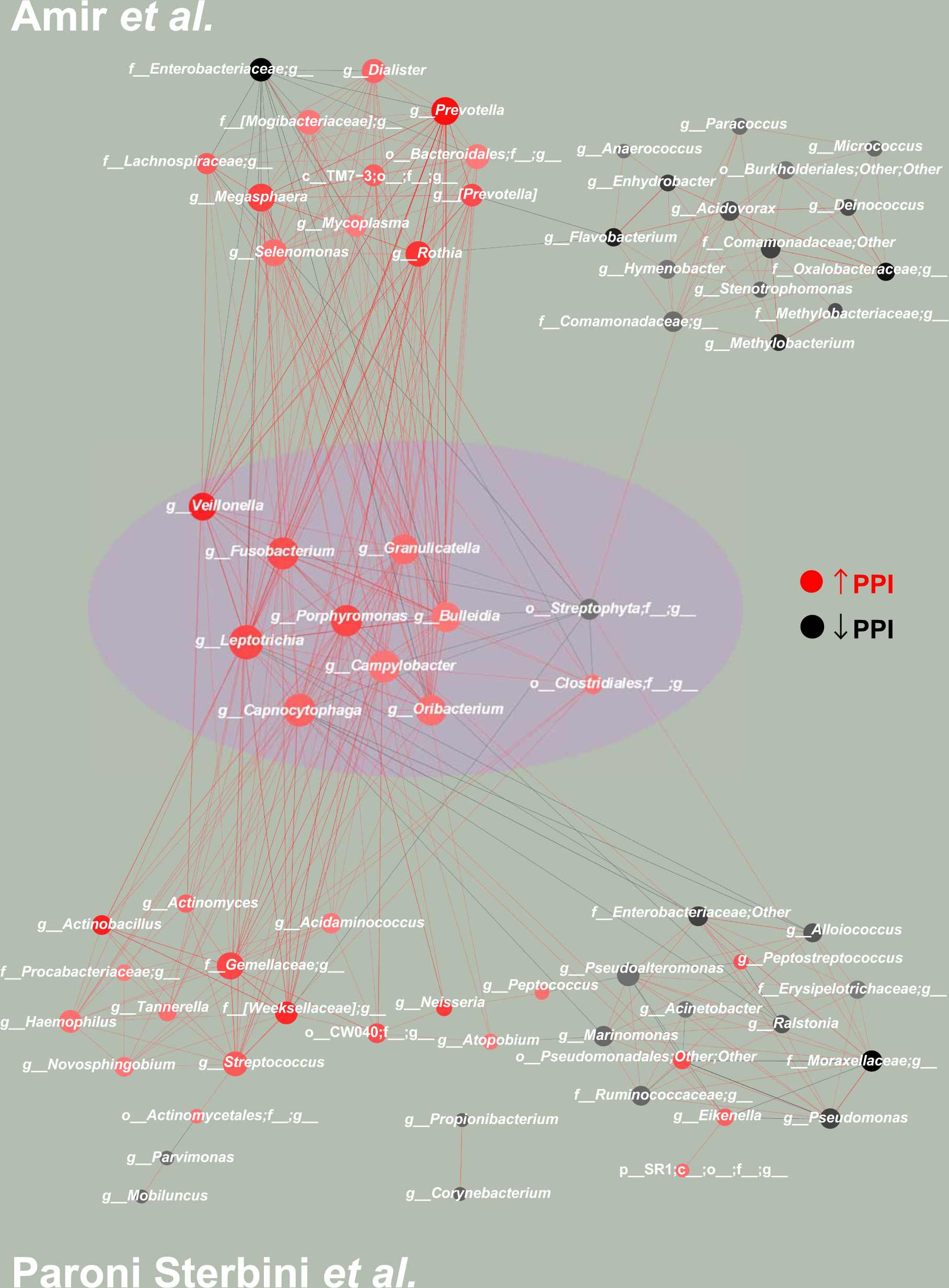 Fig. 3: PC-corr method to unveil how PPI is affecting the microbiota in gastric environment in dyspeptic patients.