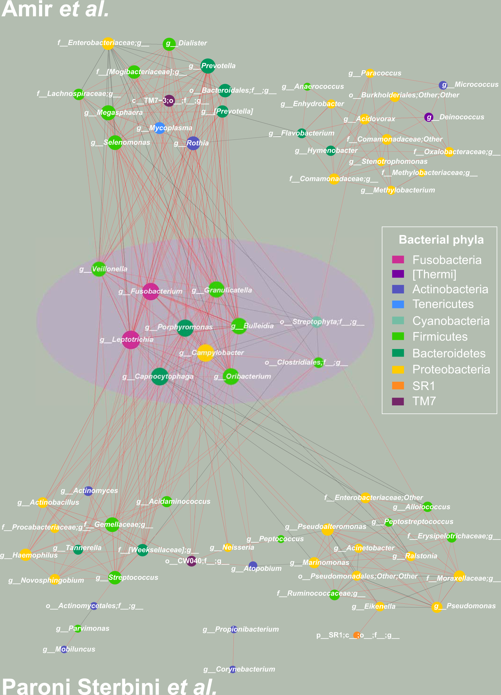 Fig. 4: PC-corr networks to unveil how PPI is affecting the microbiota in gastric environment in dyspeptic patients, coloured according to phylum-level taxonomy.