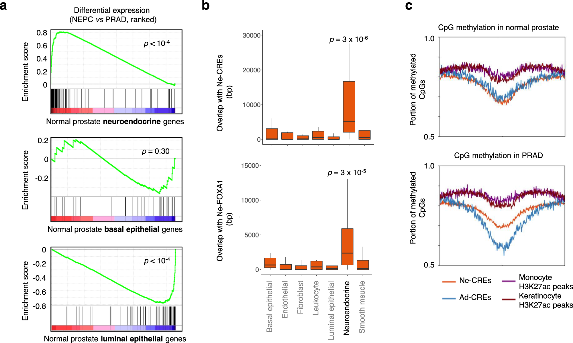 Fig. 5: Gene expression of benign prostate cells compared to NEPC transcriptomes and epigenomes.