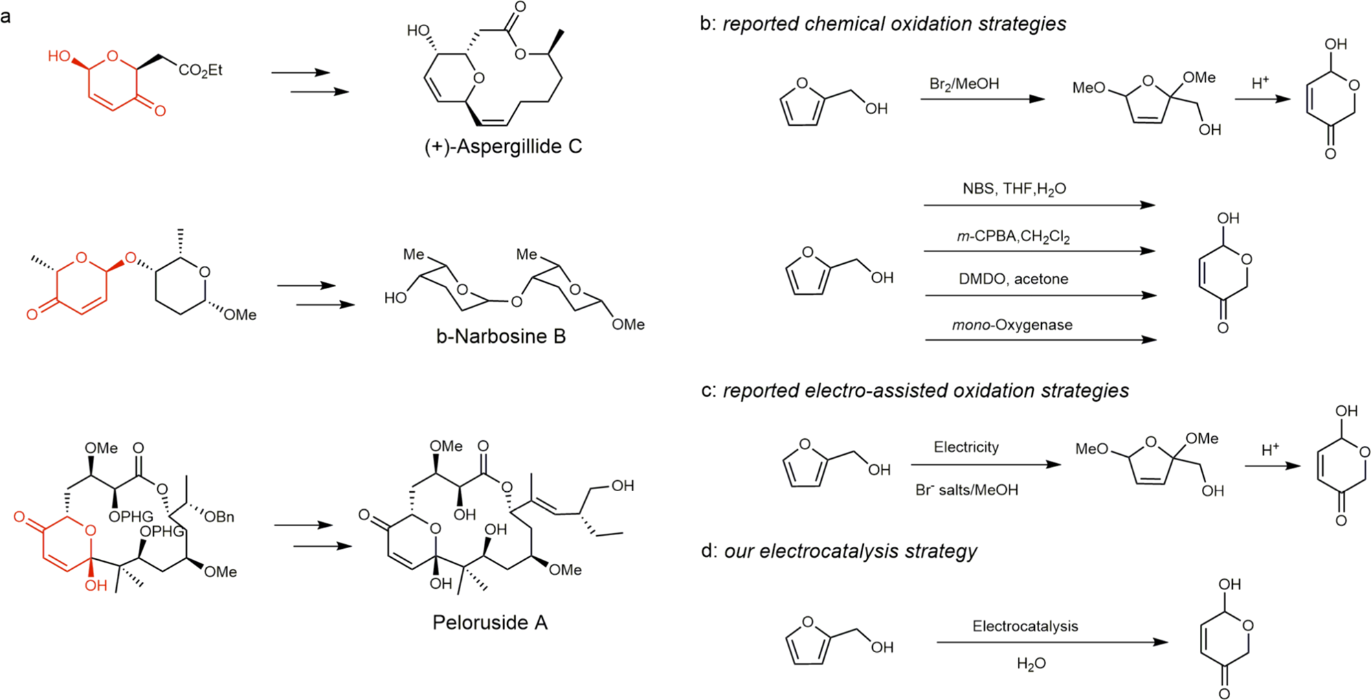 Electrocatalytic synthesis of heterocycles from biomass-derived furfuryl  alcohols | Nature Communications