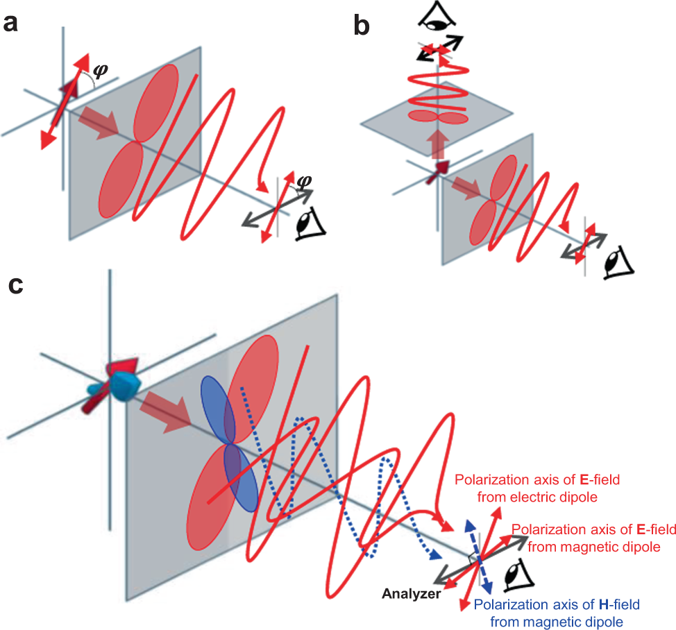 Measuring 3D orientation of nanocrystals via polarized luminescence of  rare-earth dopants | Nature Communications