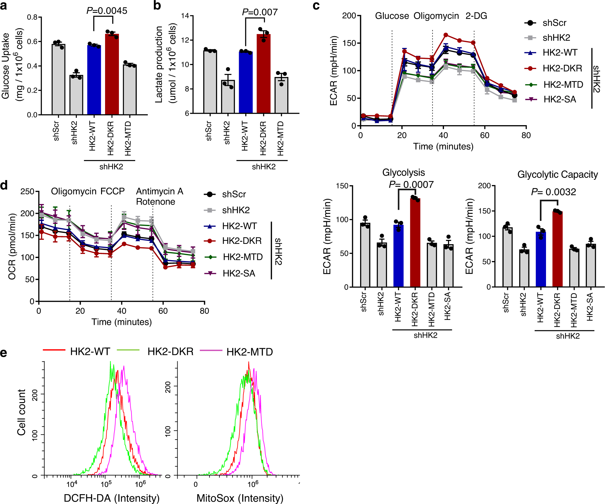 Fig. 3: SUMO-defective HK2 increases prostate cancer cell glycolysis and decreases mitochondrial respiration and ROS.