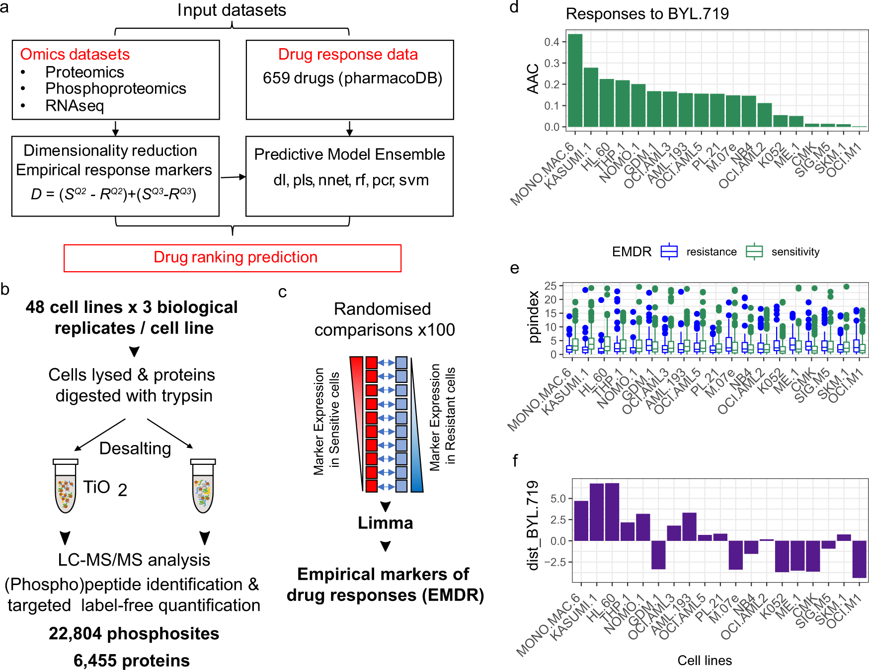 DRUML workflow for drug response prediction