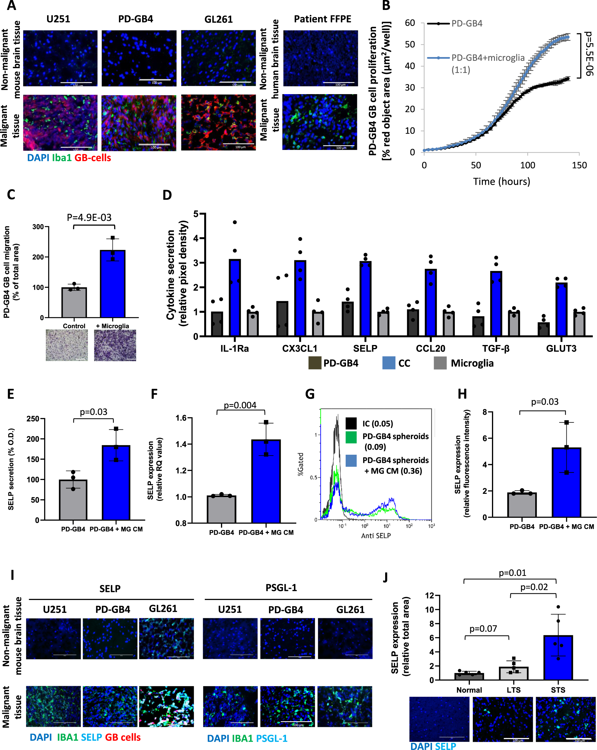 P-selectin axis plays a key role in microglia immunophenotype and