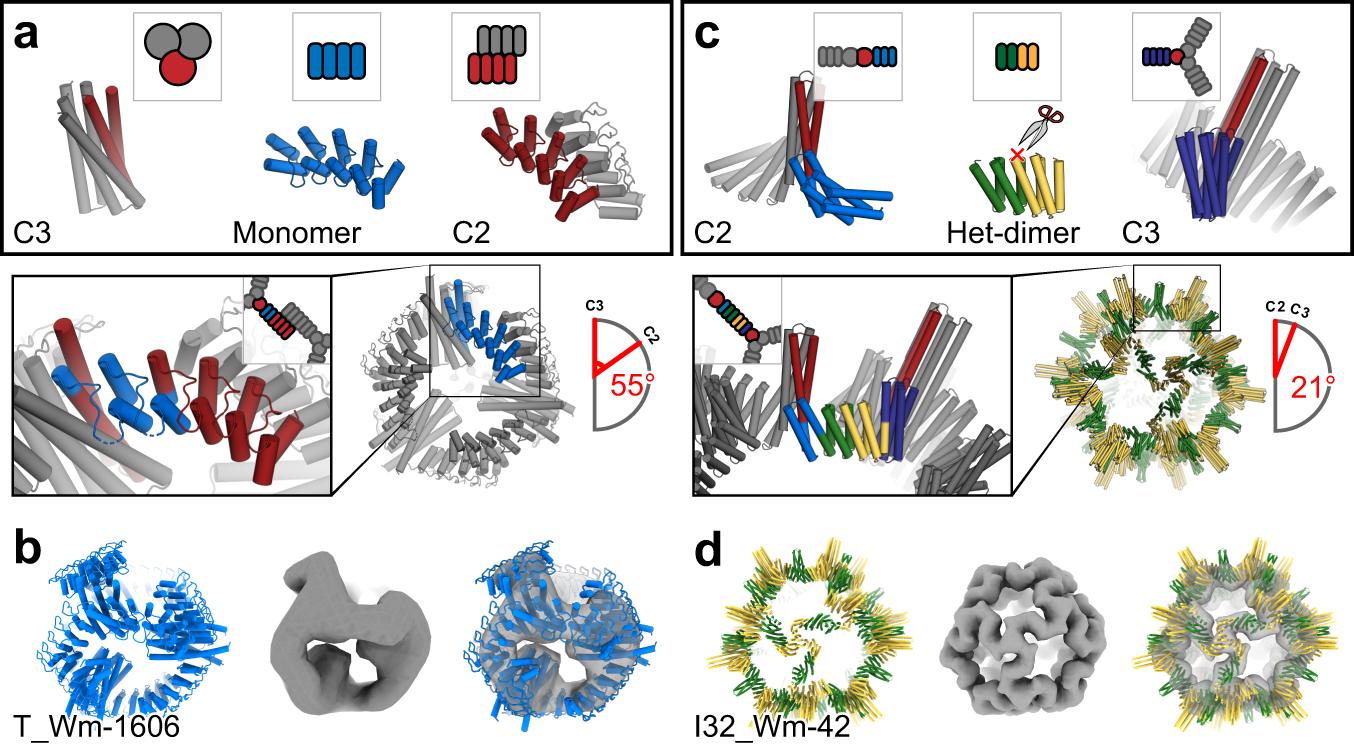 Fig. 5: Design of assemblies with point group symmetry.