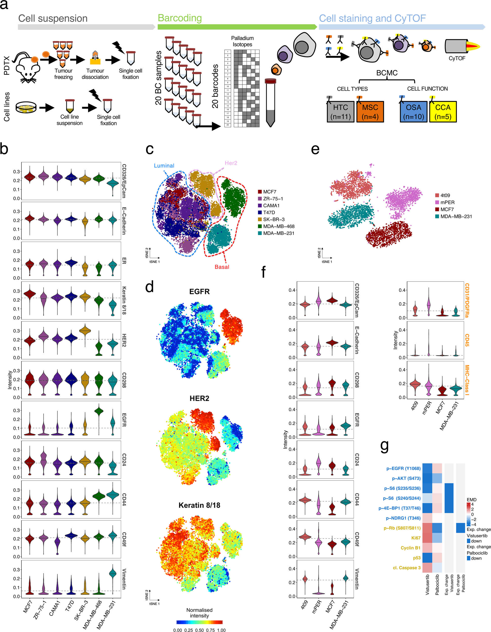 Fig. 1: Development of a mass cytometry antibody panel for breast cancer.
