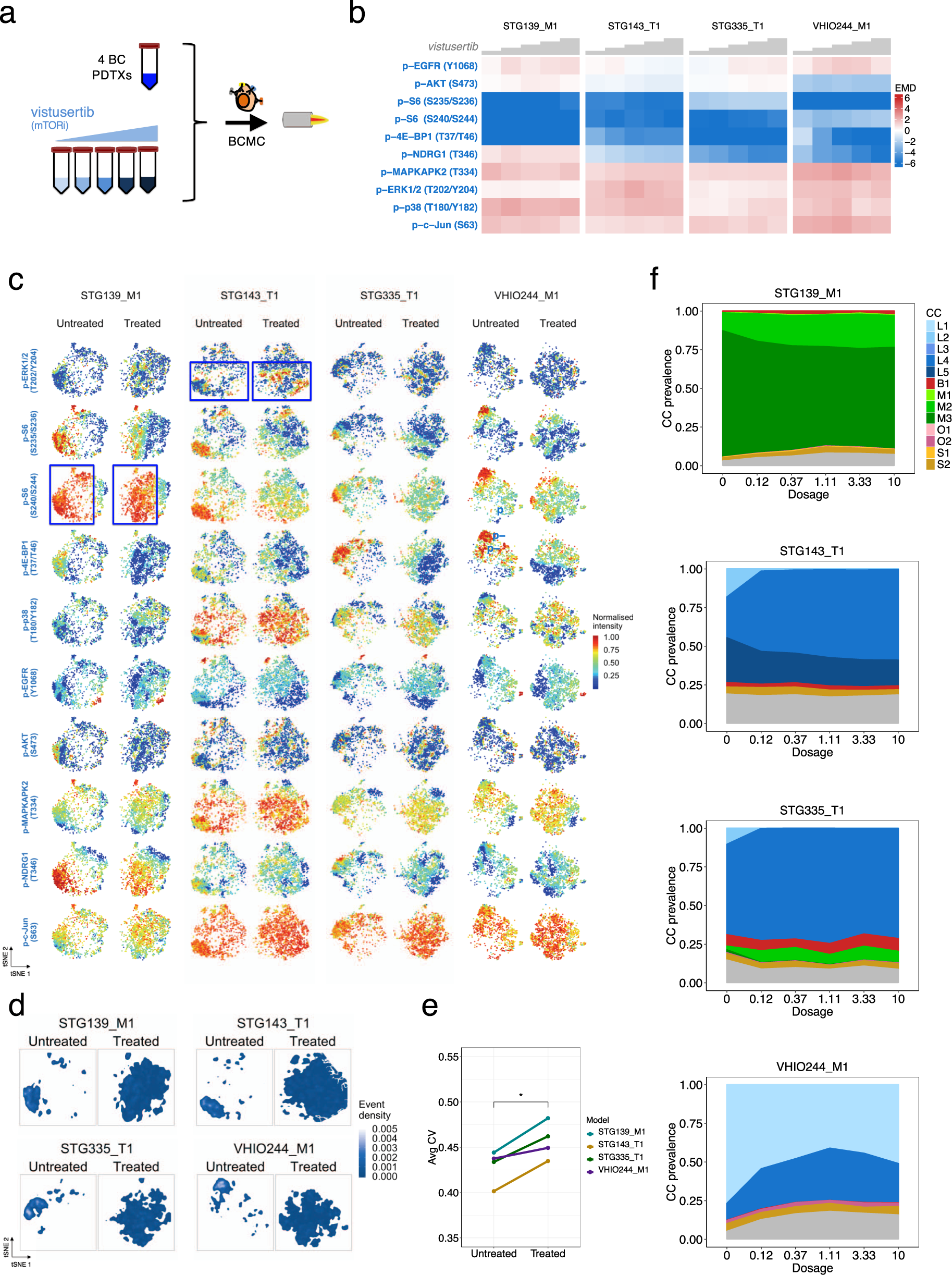 Fig. 6: Intra-tumour cellular phenotypic dynamics induced by mTOR inhibition.