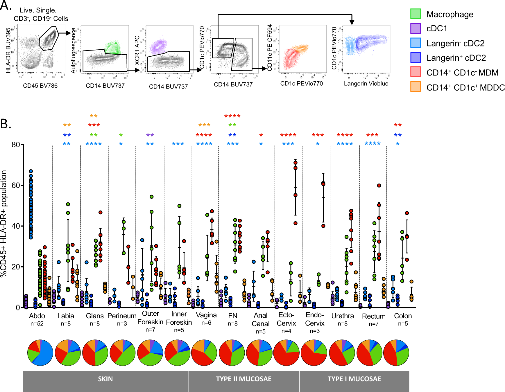 Human Anogenital Monocyte Derived Dendritic Cells And Langerin Cdc2 Are Major Hiv Target Cells Nature Communications