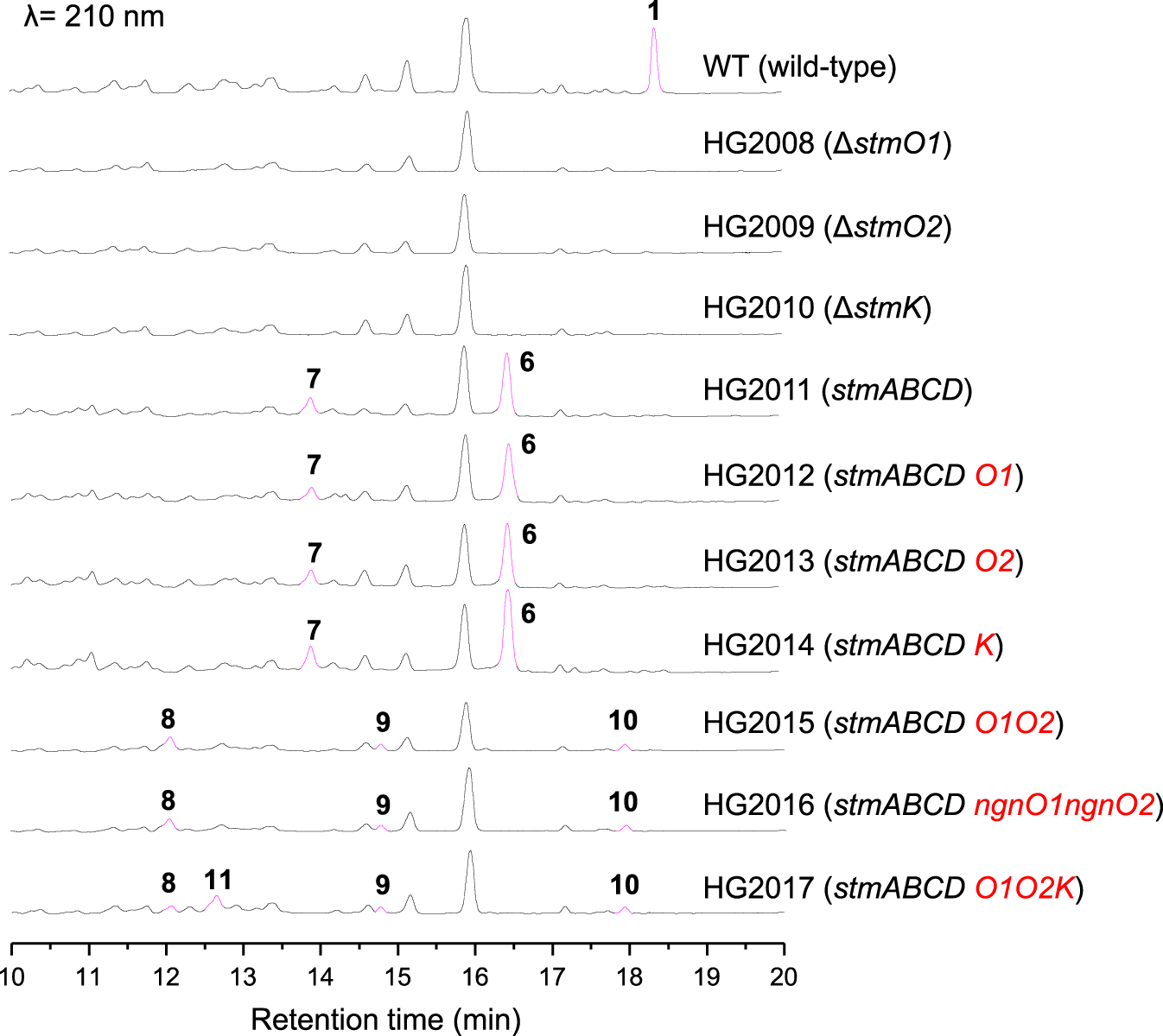 Fig. 2: HPLC analysis of wild-type and recombinant strains.