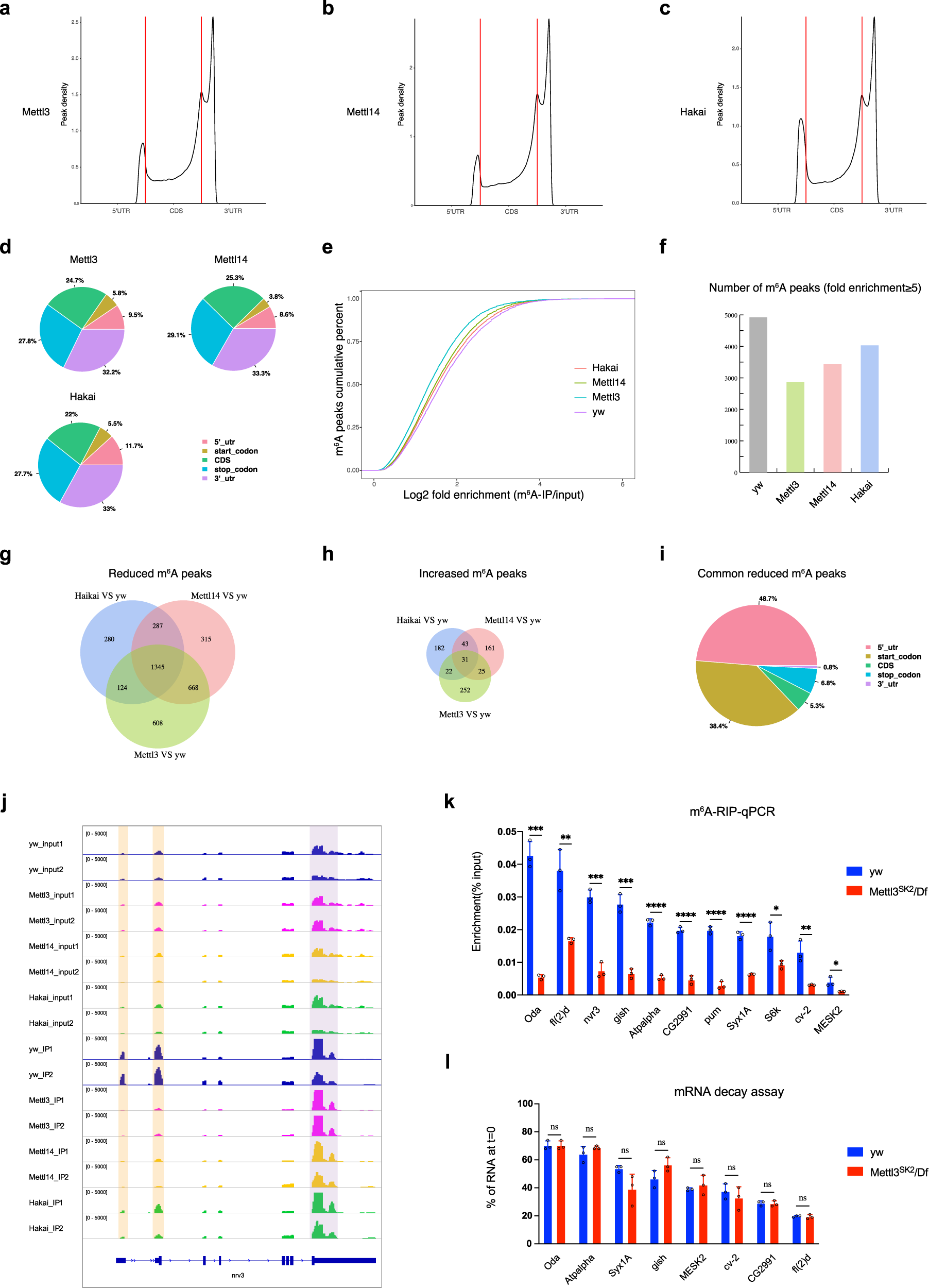 Fig. 7: Effective m6A modification in Drosophila is distributed in 5′UTRs.
