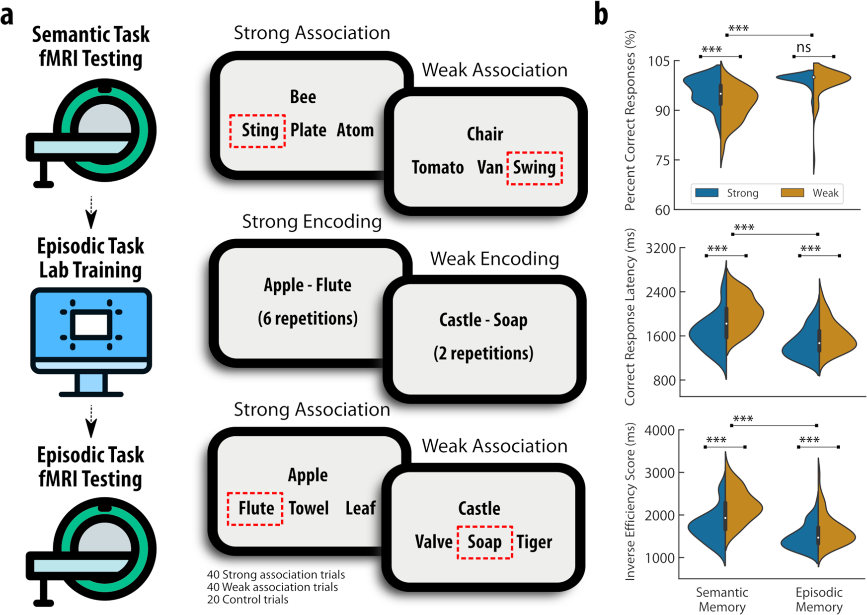 semantic memory model