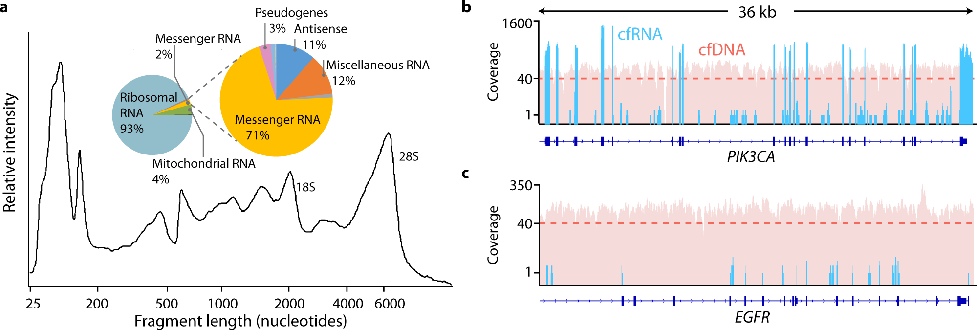 File:Anamnese und Einwilligung mRNA.pdf - Wikimedia Commons