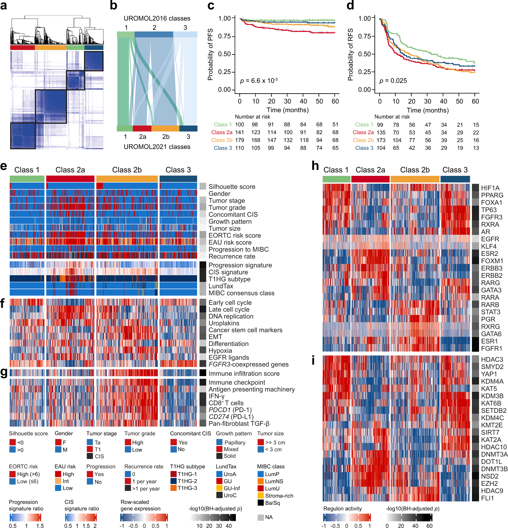 An integrated multi-omics analysis identifies prognostic molecular subtypes  of non-muscle-invasive bladder cancer | Nature Communications