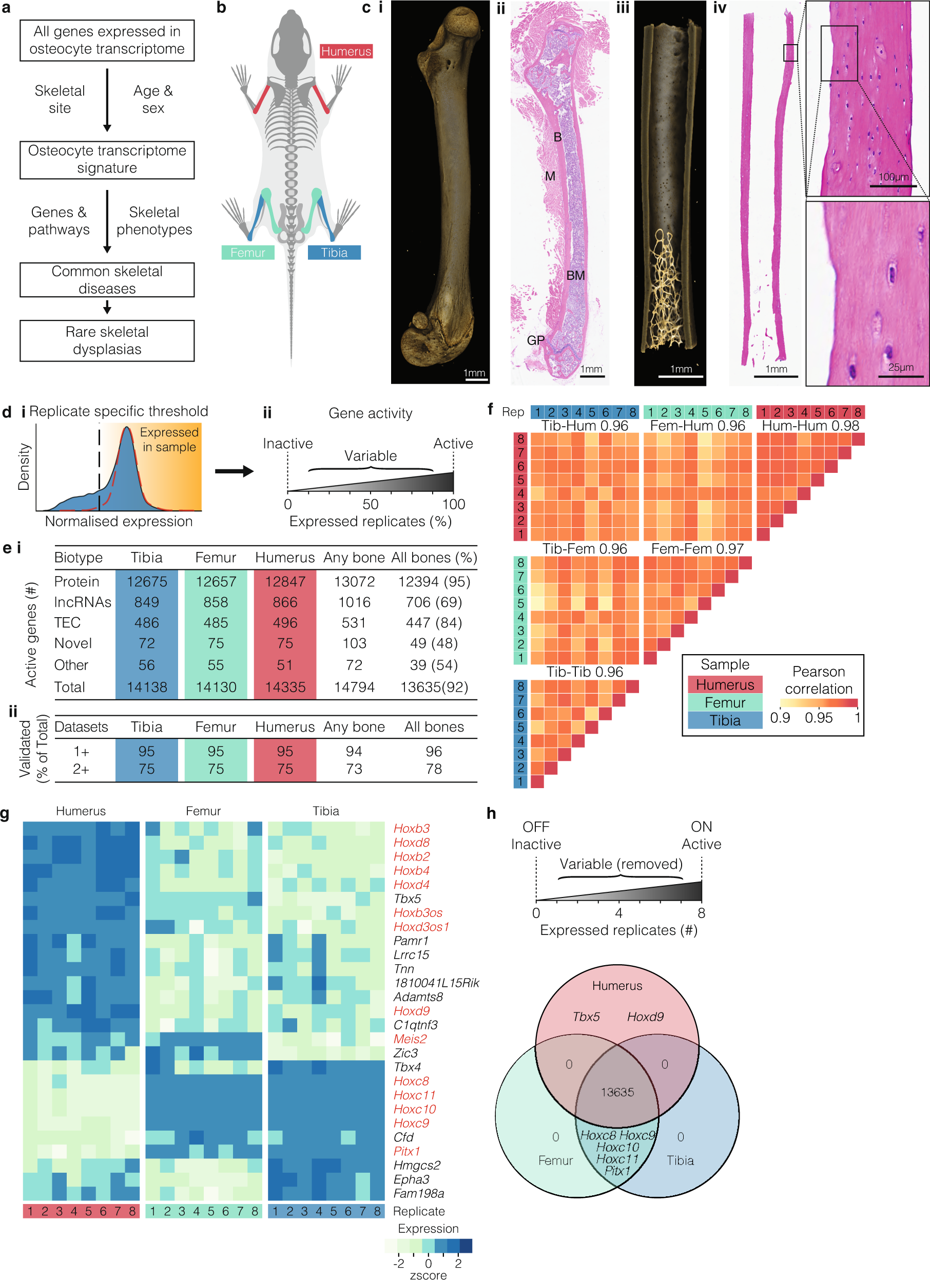 Transcriptomic signatures across human tissues identify functional rare  genetic variation