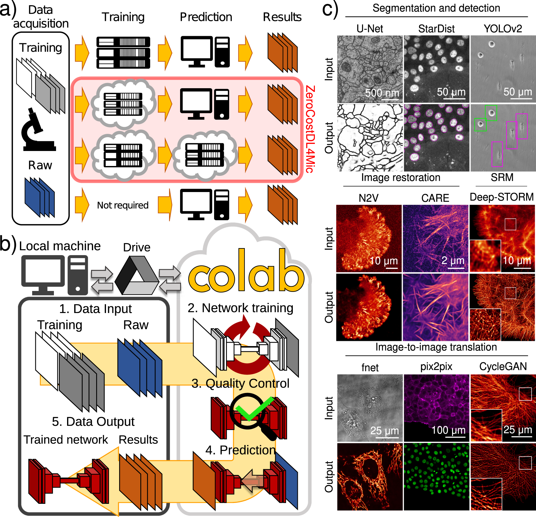 U-Net: deep learning for cell counting, detection, and morphometry