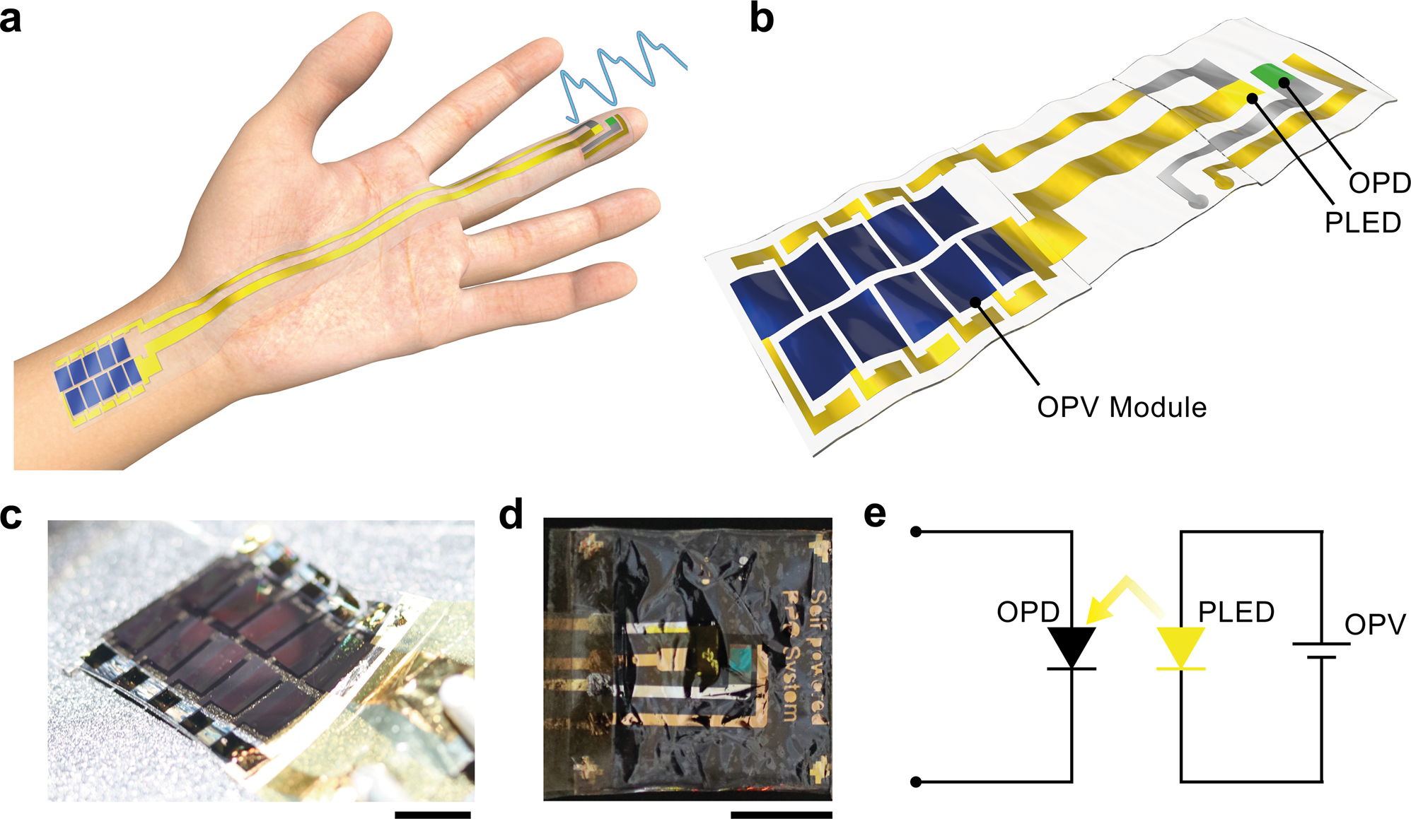 Self-powered ultraflexible photonic skin for continuous bio-signal  detection via air-operation-stable polymer light-emitting diodes | Nature  Communications