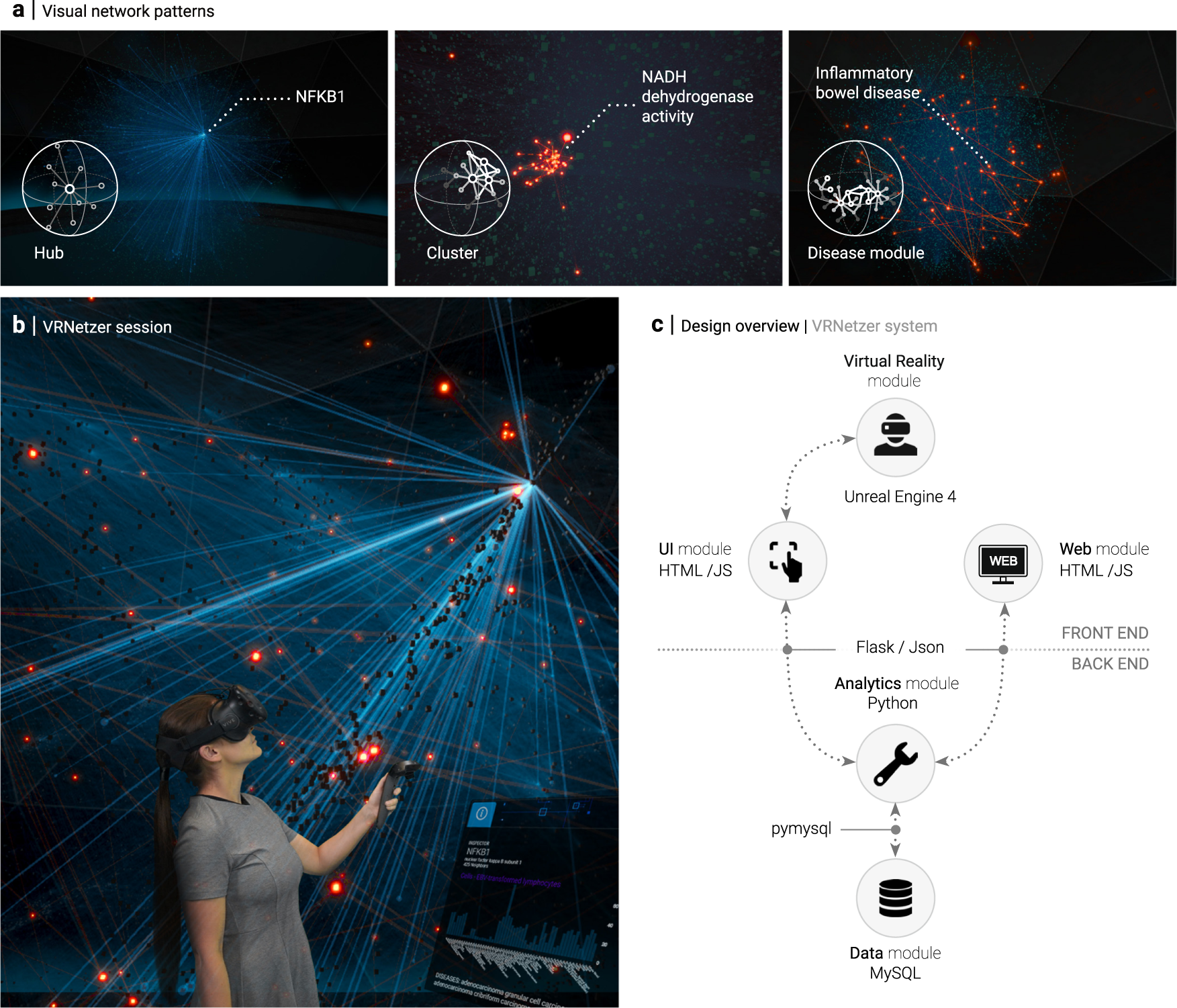 Udstyr tang klistermærke The VRNetzer platform enables interactive network analysis in Virtual  Reality | Nature Communications