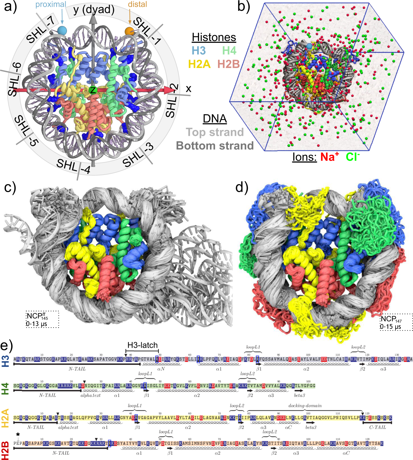 DNA elasticity biases HIV integration in nucleosomes. a Model for tDNA