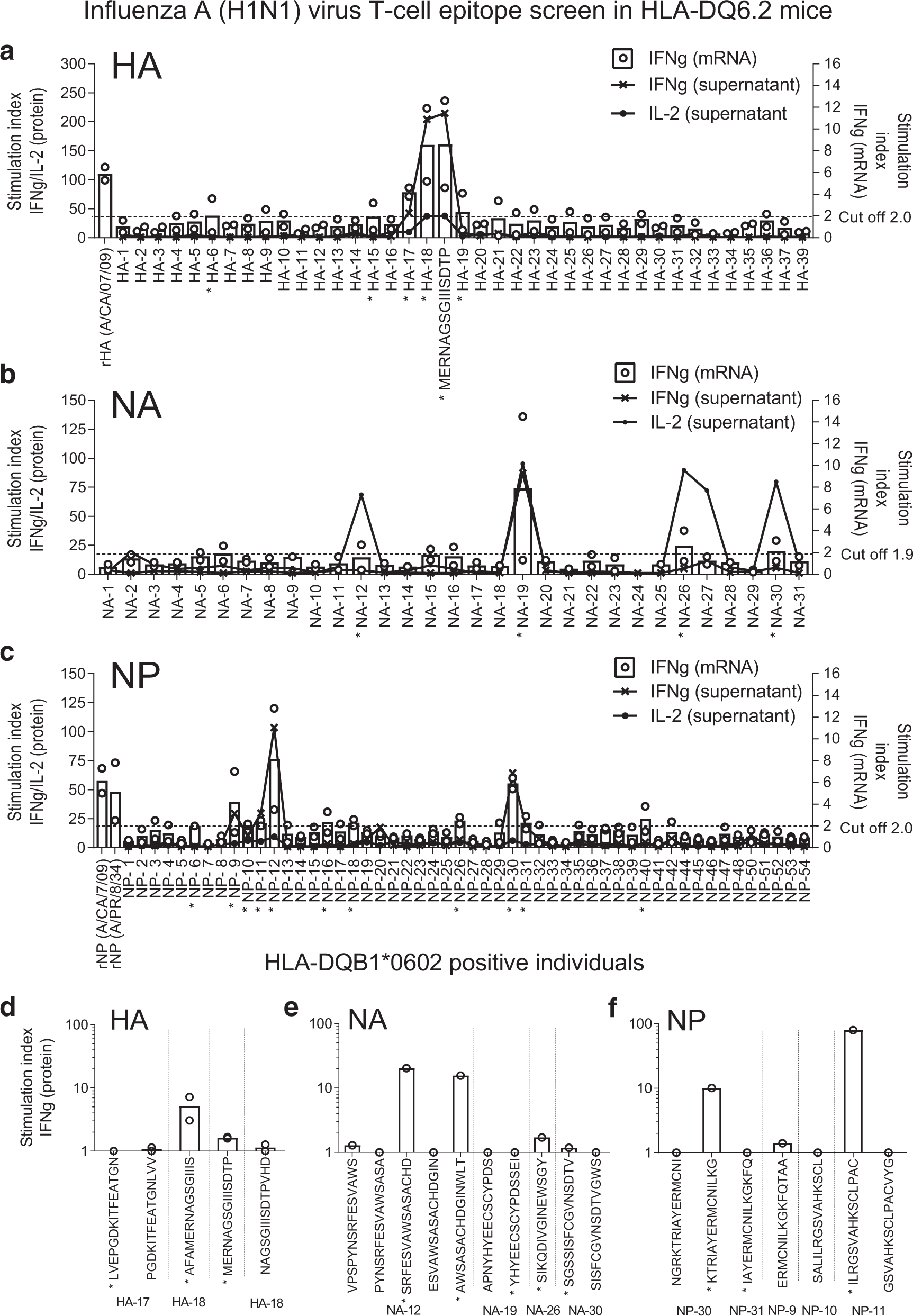 Fig. 2: Influenza A H1N1 virus T-cell epitope screen in HLA-DQ6.2 mice, and Pandemrix-vaccinated HLA-DQB1*0602 positive individuals.