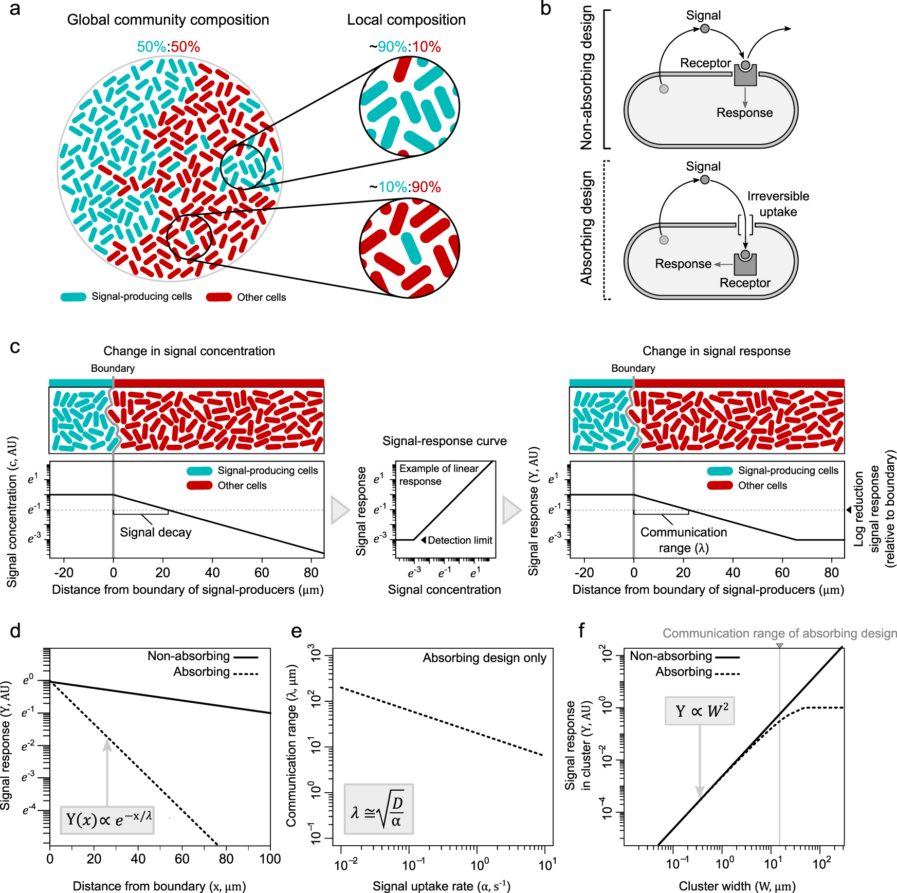 PDF) Structural and Biochemical Characterization of AaL, a Quorum