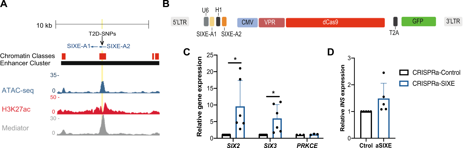 Fig. 6: CRISPR/dCas9 activation of a putative enhancer element in the SIX2-SIX3 locus in primary human islets.