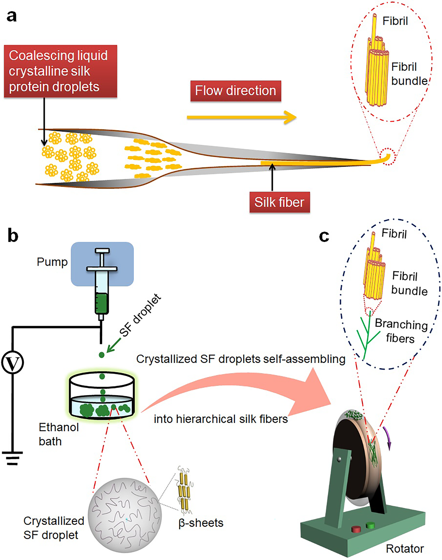 Multifunctional Biosensors Made with Self-Healable Silk Fibroin