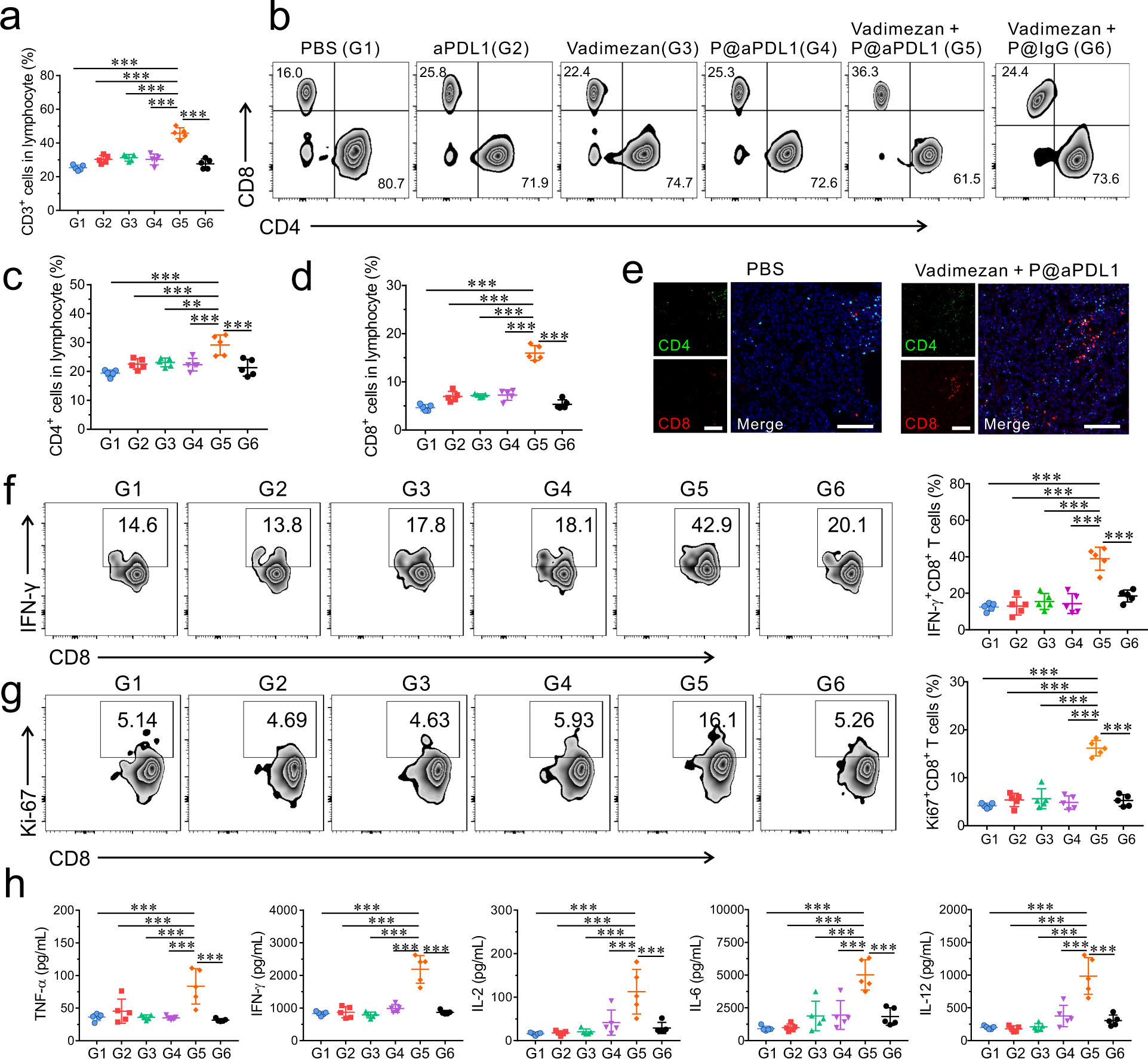 Fig. 4: Immune responses post P@aPDL1 and Vadimezan treatment in the 4T1 tumour model.