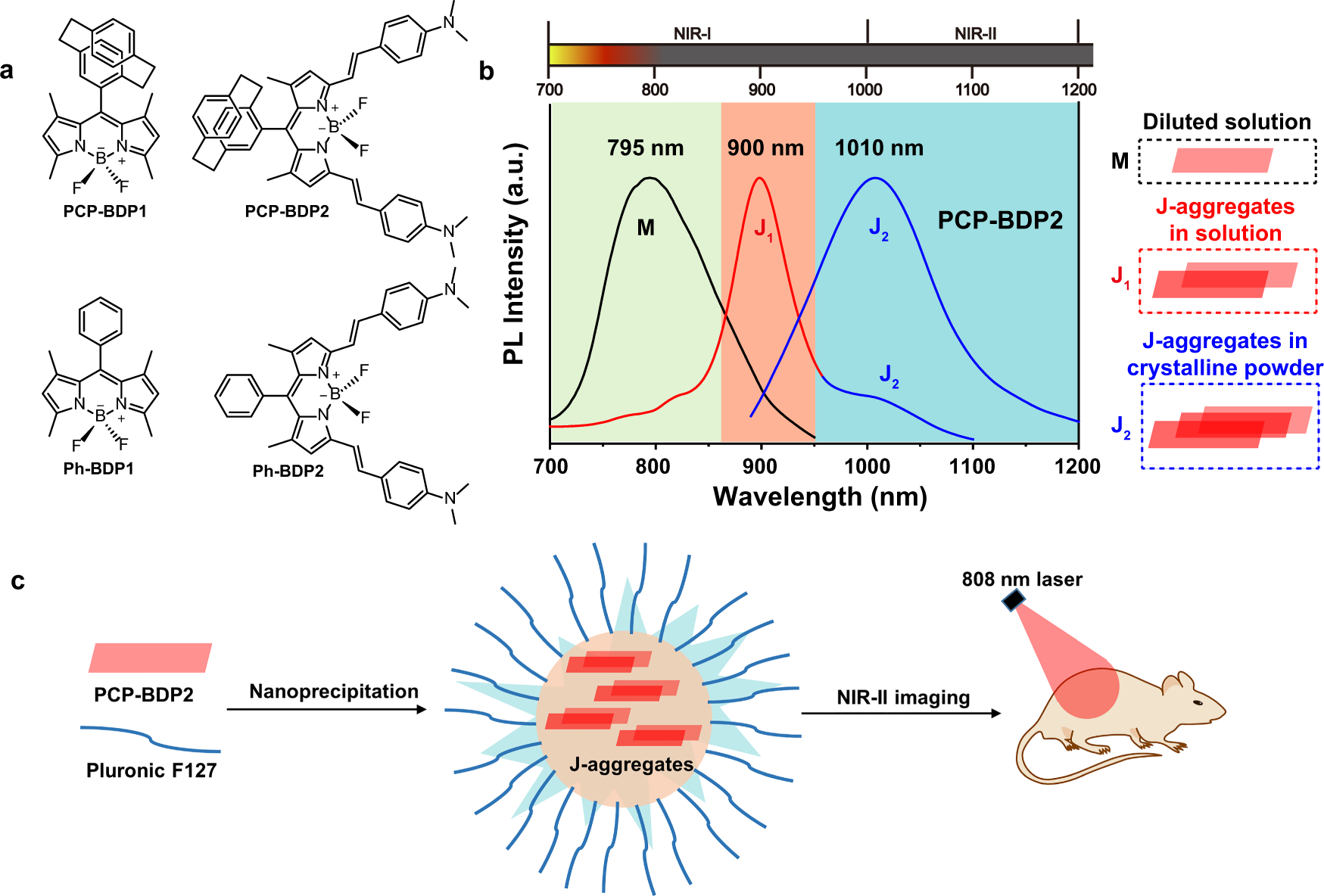 Nano-Assemblies from J-Aggregated Dyes: A Stimuli-Responsive Tool  Applicable To Living Systems