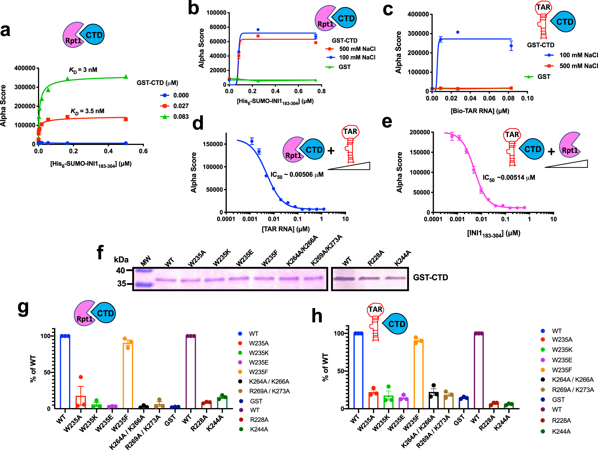 Fig. 4: Quantitative Alpha protein-protein interaction assay to determine the interaction of IN, CTD, and the mutants with INI1 and INI1183-304.