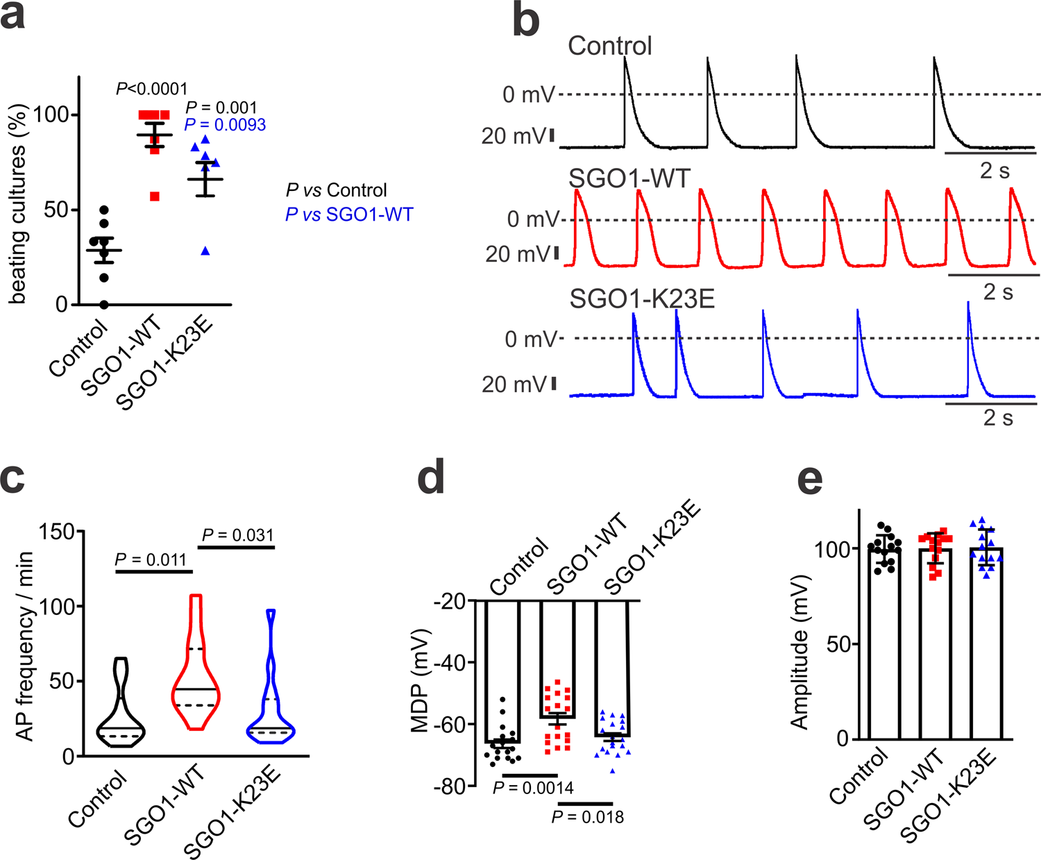 Cohesin-protein Shugoshin-1 controls cardiac automaticity via HCN4 pacemaker  channel | Nature Communications