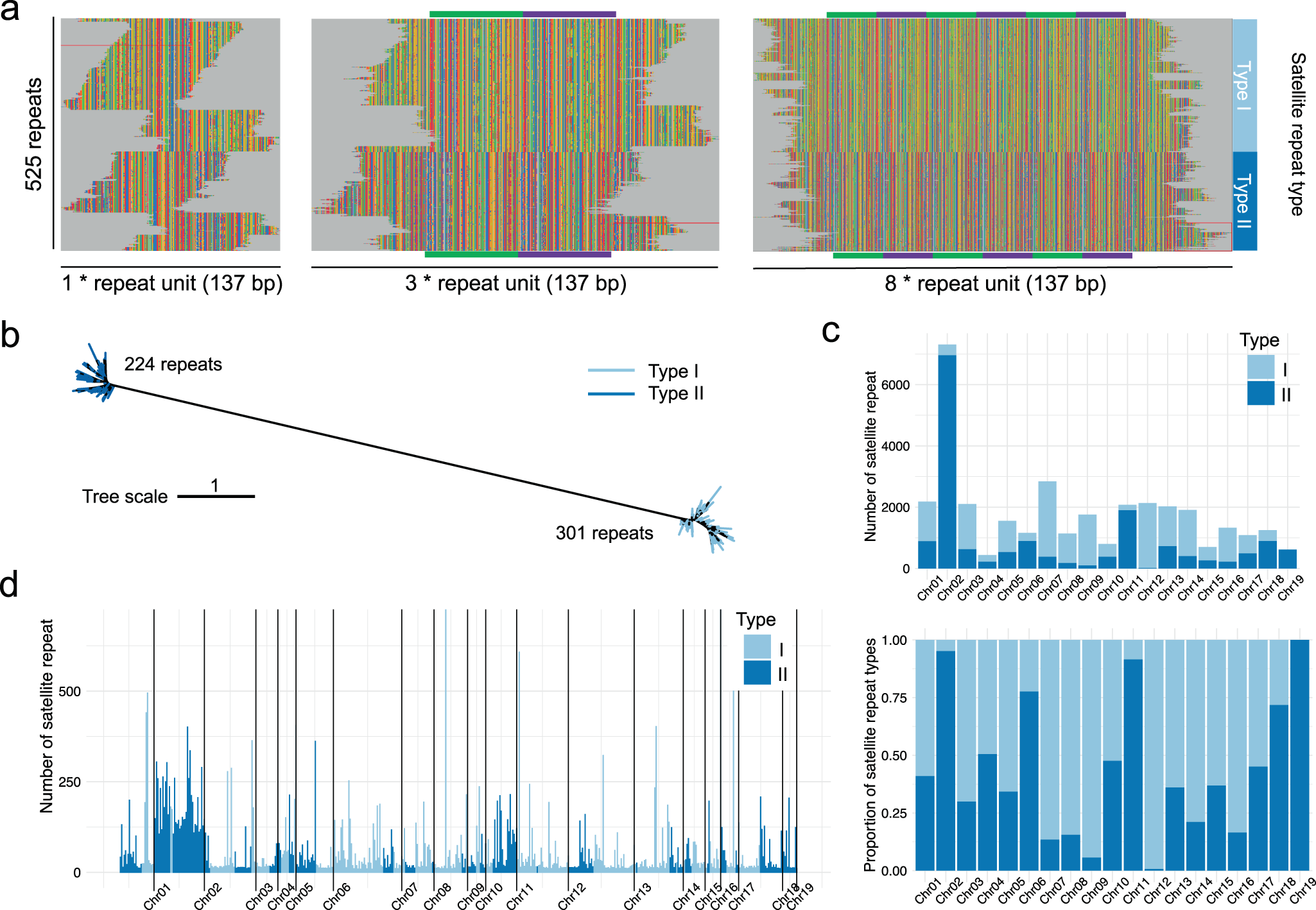 Fig. 2: Evolution of satellite repeats of M. lutarioriparius.
