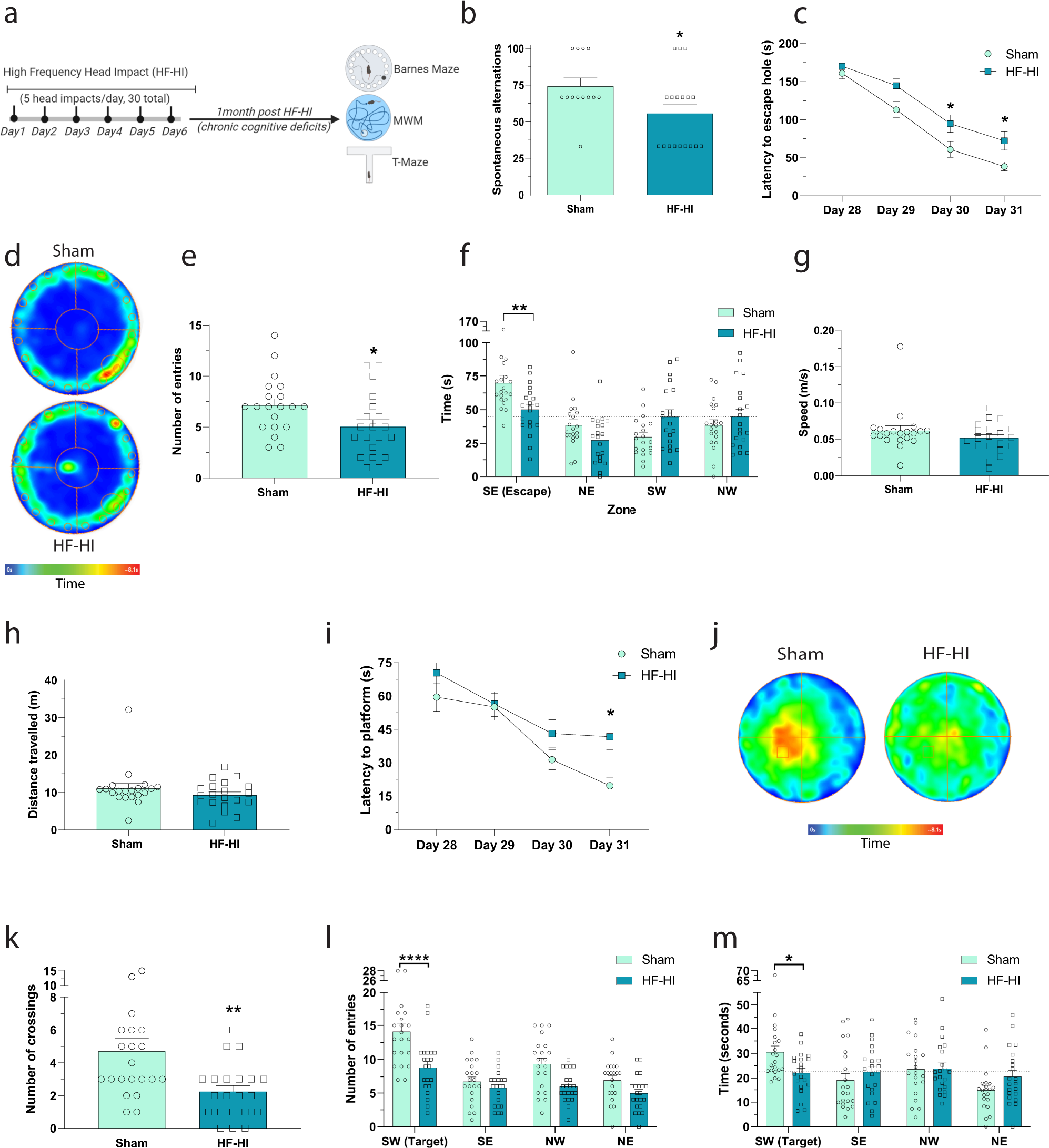 Fig. 3: HF-HI impairs chronic cognitive function.