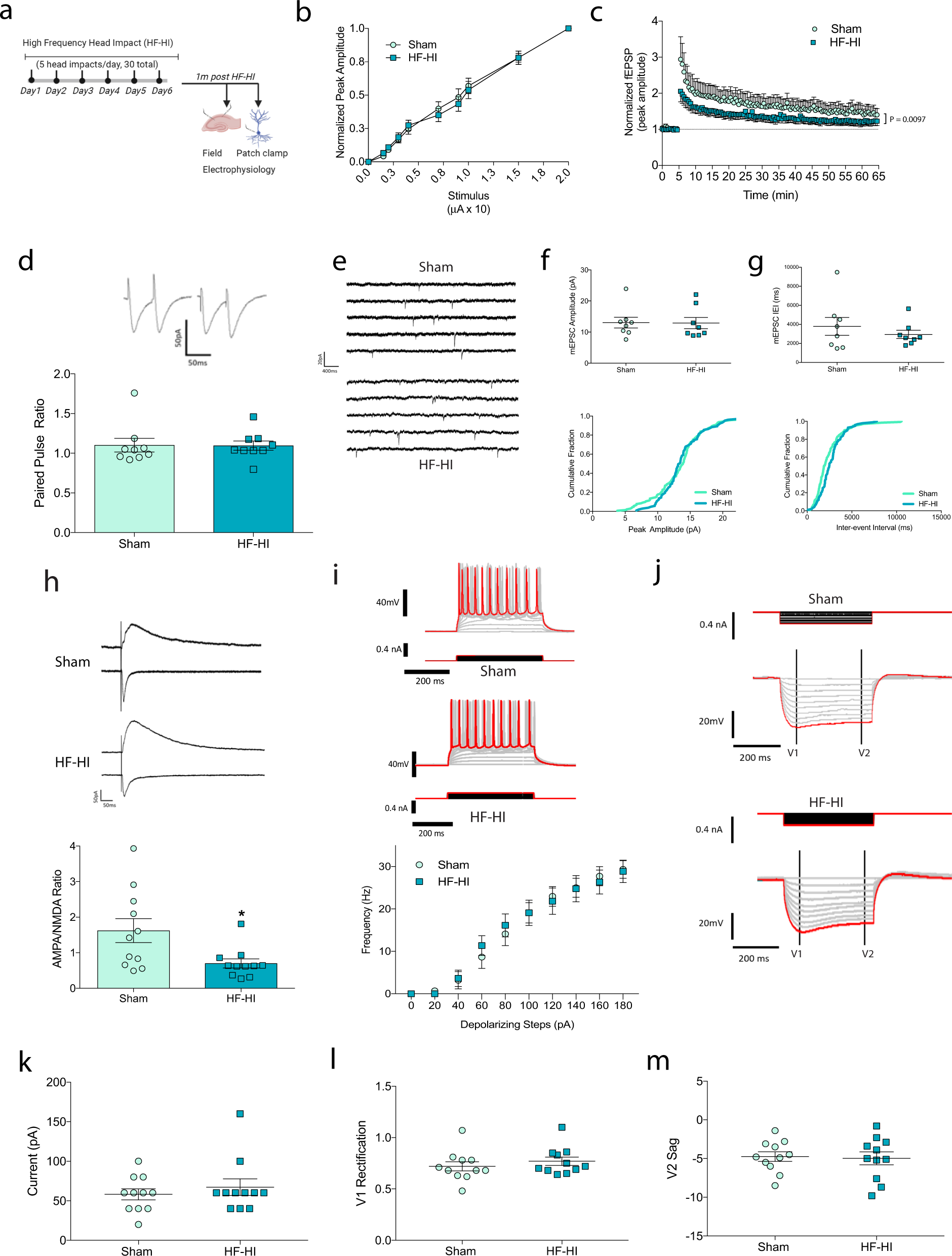 Fig. 6: HF-HI changes discrete chronic neuronal and synaptic properties including the AMPA/NMDA ratio and LTP at 1 month post impact.