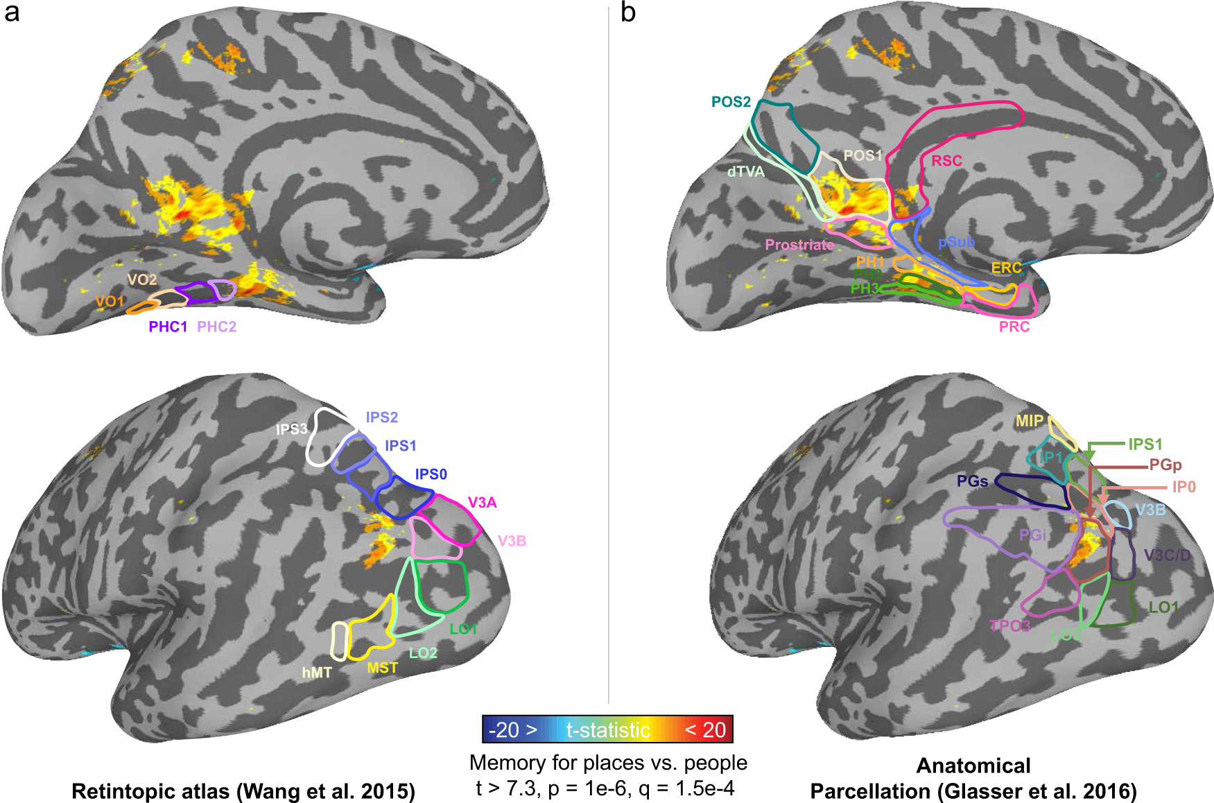 Fig. 2: Location of place-memory activity in relation to known functional and anatomical landmarks.