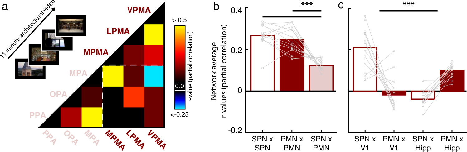 Fig. 4: The place-memory areas constitute a distinct function network and associate closely with the hippocampus.