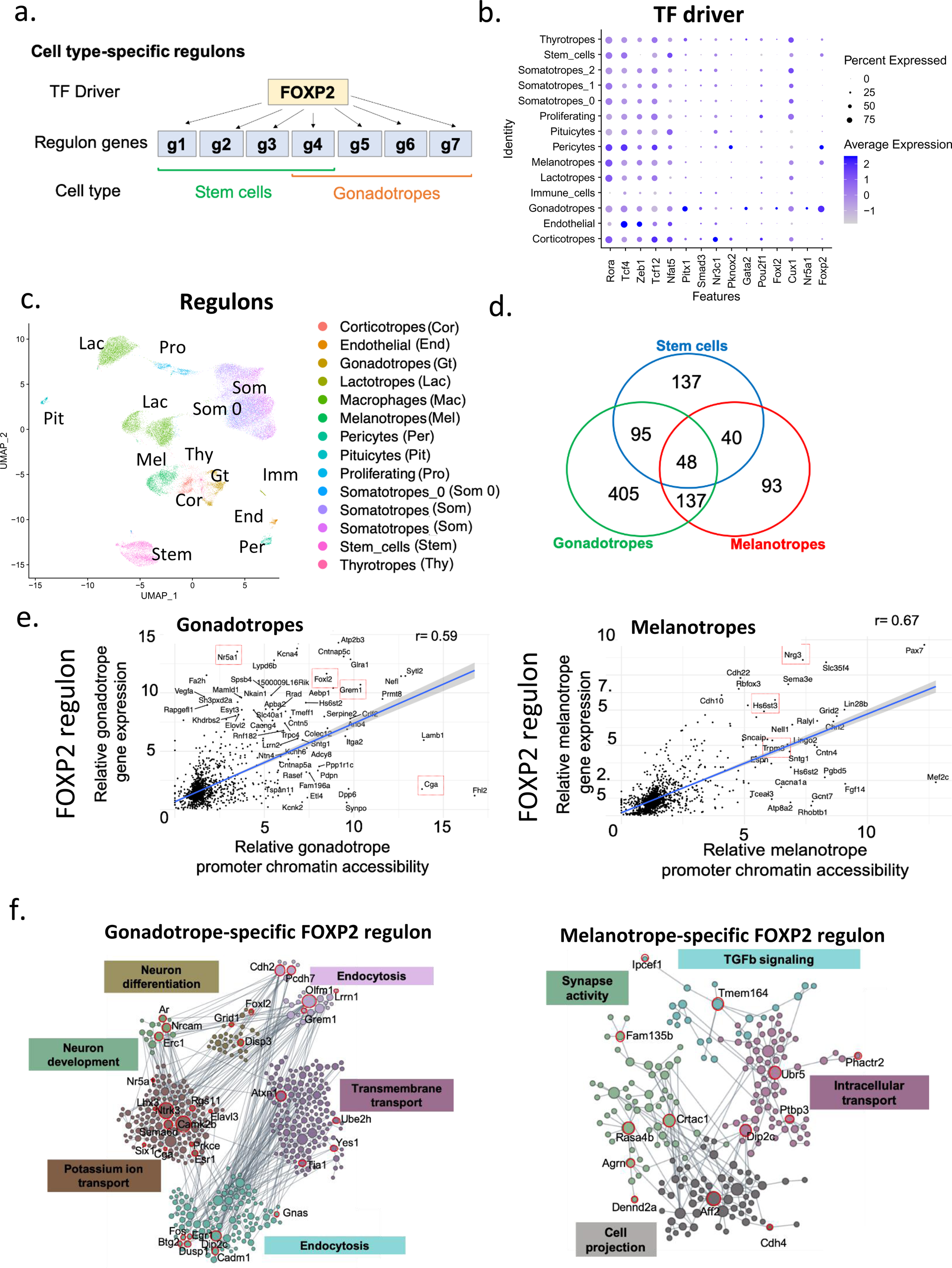 Fig. 8: Cell type-specific regulons.