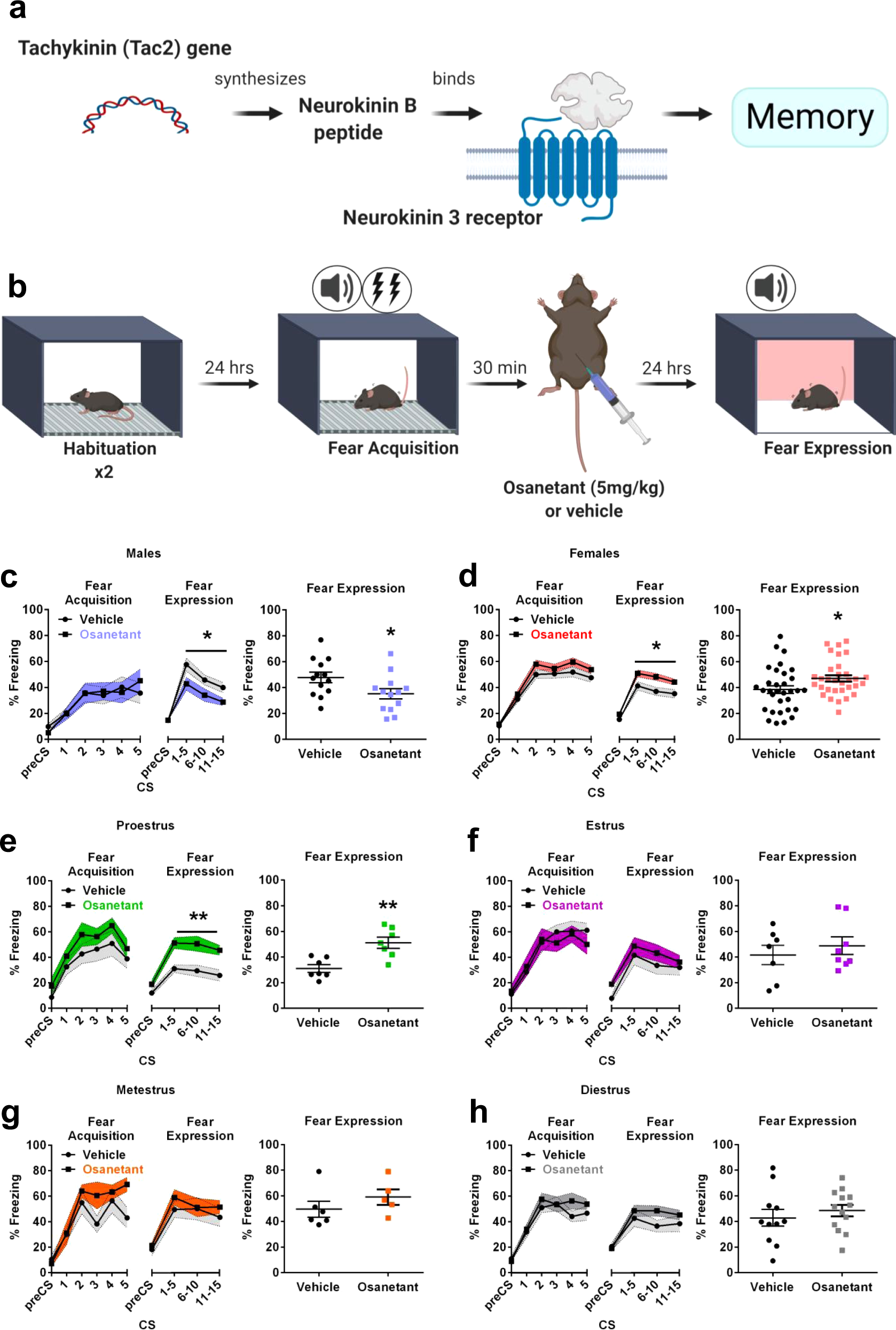 Sex differences in fear memory consolidation via Tac2 signaling in mice Nature Communications picture image