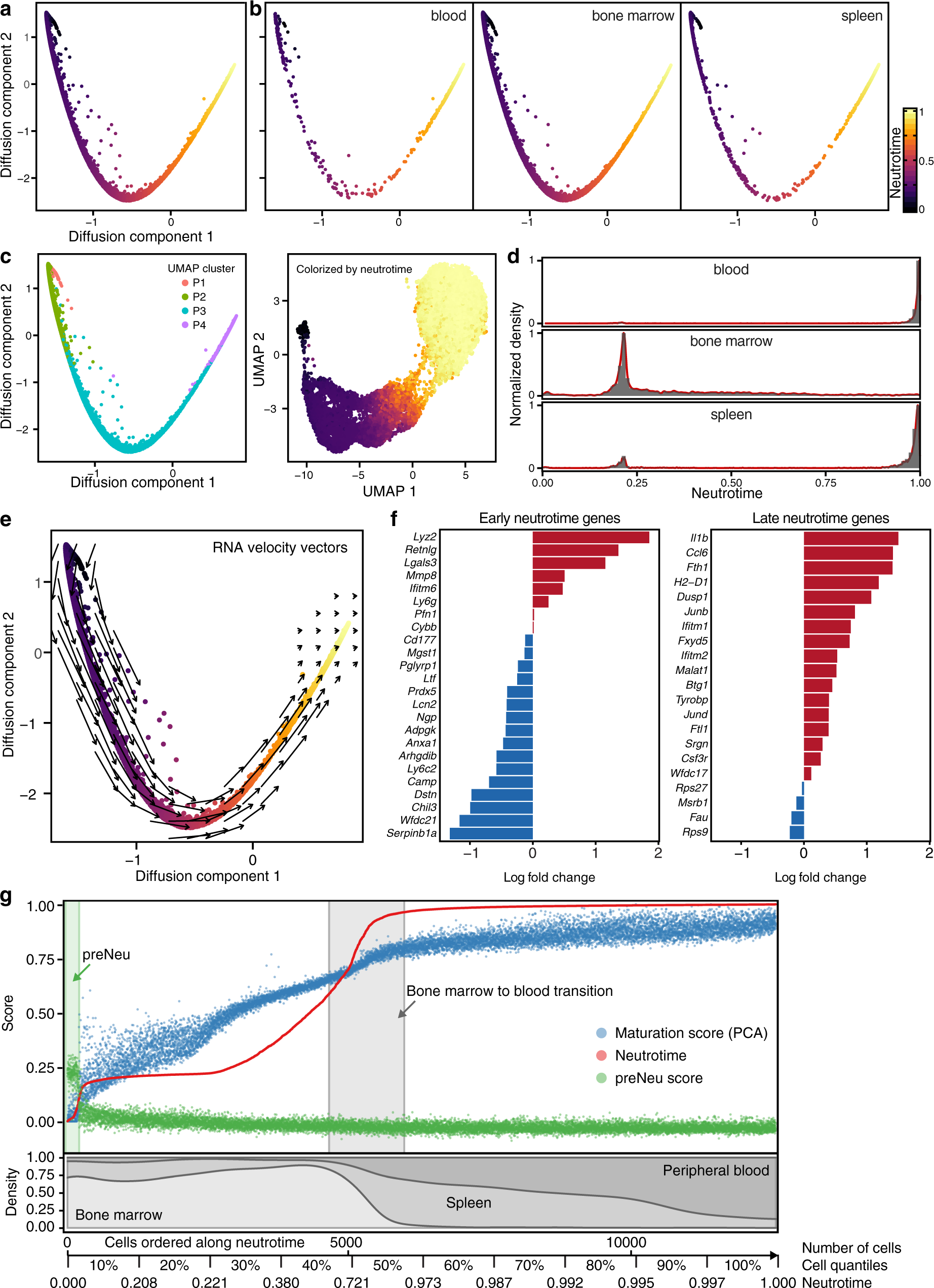 Fig. 2: Derivation of a neutrotime signature across biological compartments.