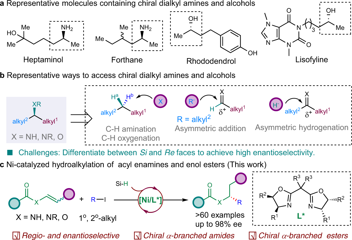 Enantioselective Access To Chiral Aliphatic Amines And Alcohols Via Ni Catalyzed Hydroalkylations Nature Communications