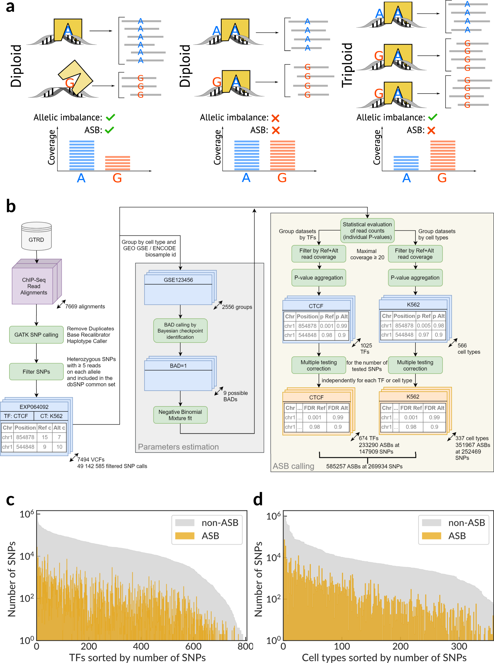 Landscape of allele-specific transcription factor binding in the human  genome | Nature Communications