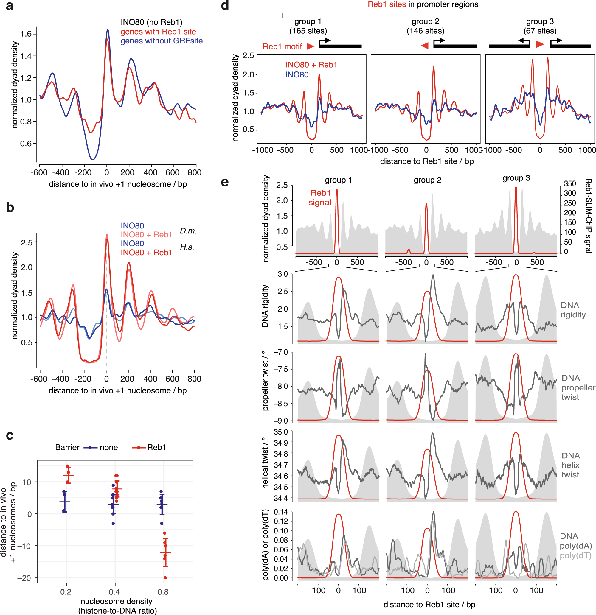 Fig. 7: INO80 synergistically integrates nucleosome positioning information from DNA shape/mechanics and Reb1 barriers.