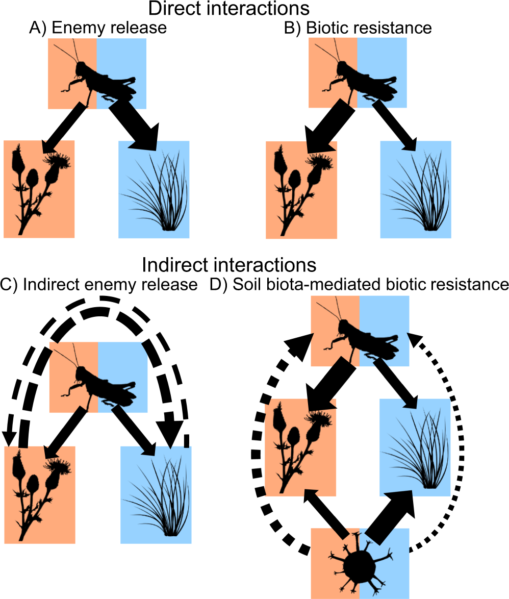 Exotic Plants Accumulate And Share Herbivores Yet Dominate Communities Via Rapid Growth Nature Communications Exotic Plants Accumulate And Share Herbivores Yet Dominate Communities Via Rapid Growth Nature Communications