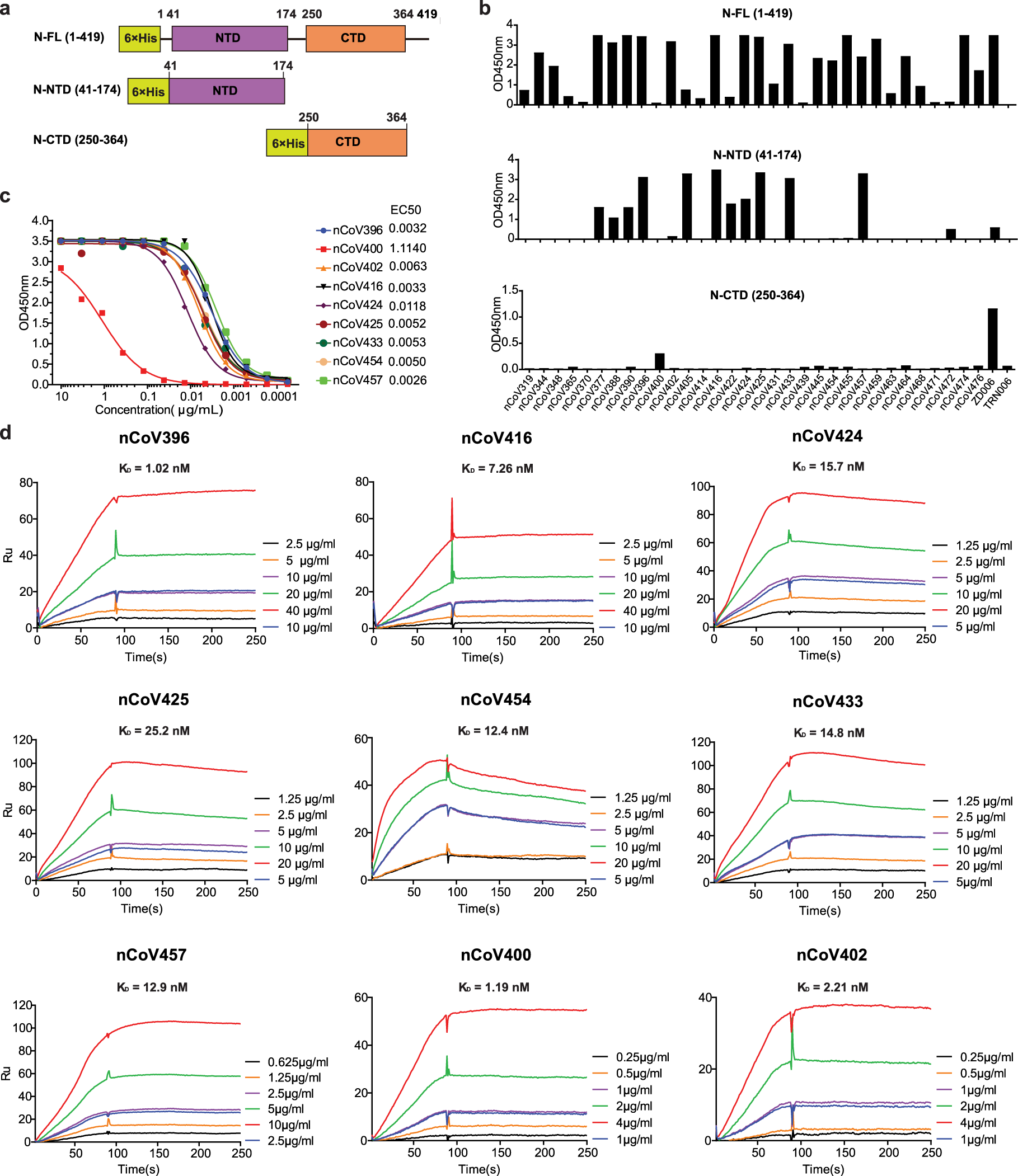 Fig. 2: Reactivity and affinity of the isolated antibodies to the N protein antigens.
