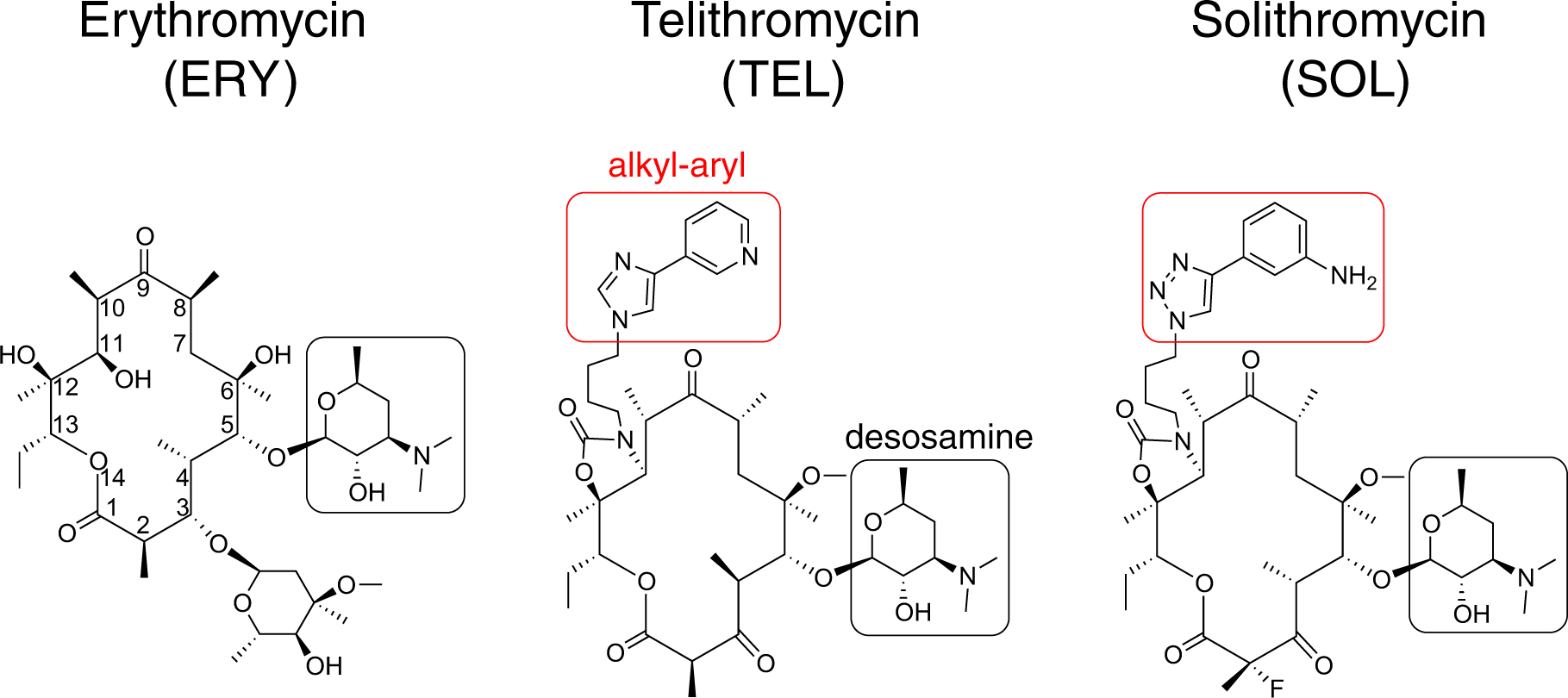 Context Specific Action Of Macrolide Antibiotics On The Eukaryotic Ribosome Nature Communications Context Specific Action Of Macrolide Antibiotics On The Eukaryotic Ribosome Nature Communications