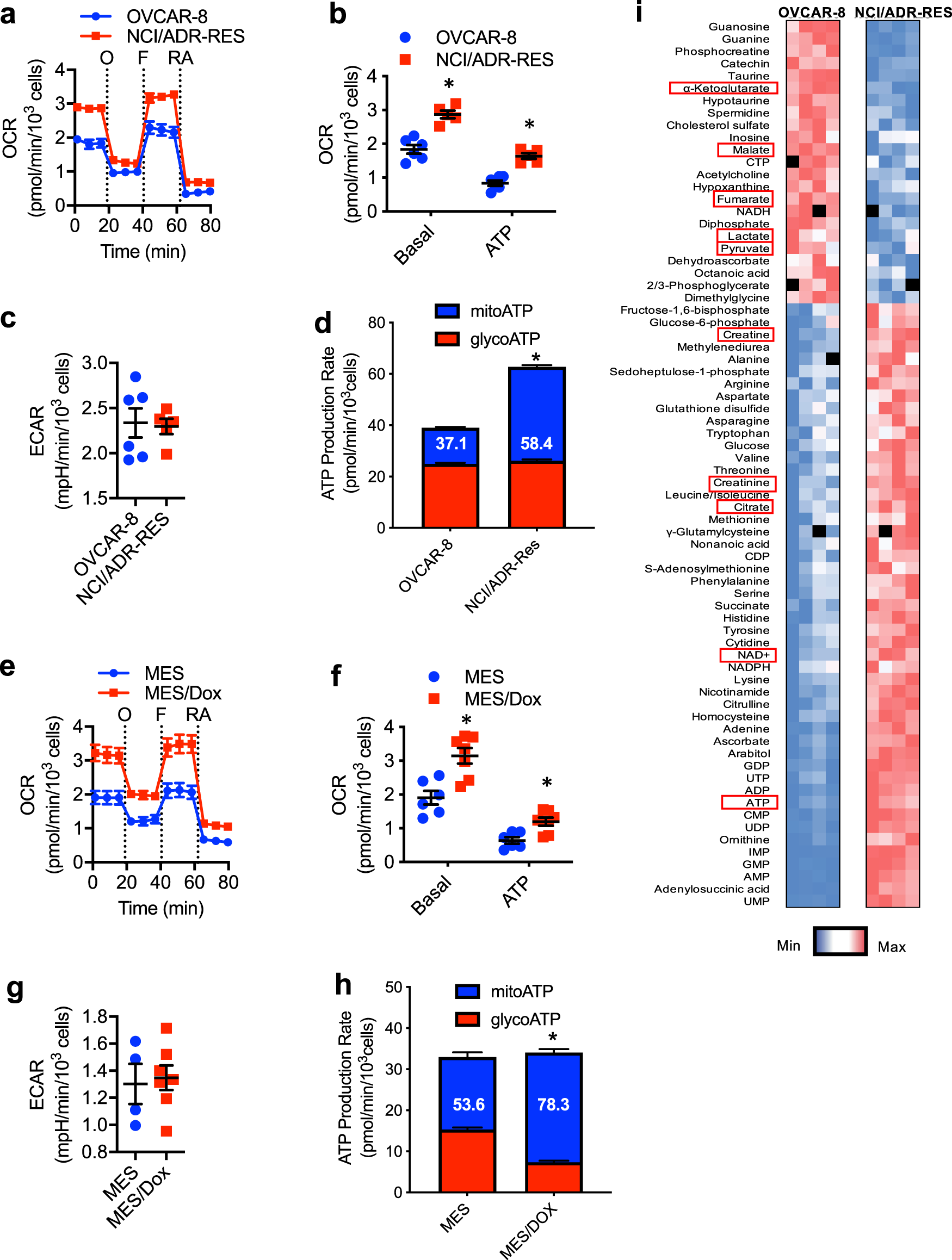 Mitochondrial Atp Fuels Abc Transporter Mediated Drug Efflux In Cancer Chemoresistance Nature Communications