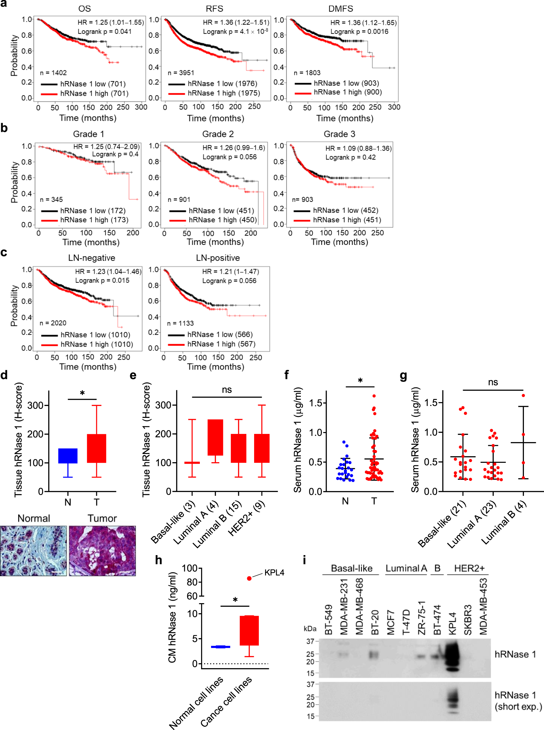 Human Ribonuclease 1 Serves As A Secretory Ligand Of Ephrin Receptor And Induces Breast Tumor Initiation Nature Communications