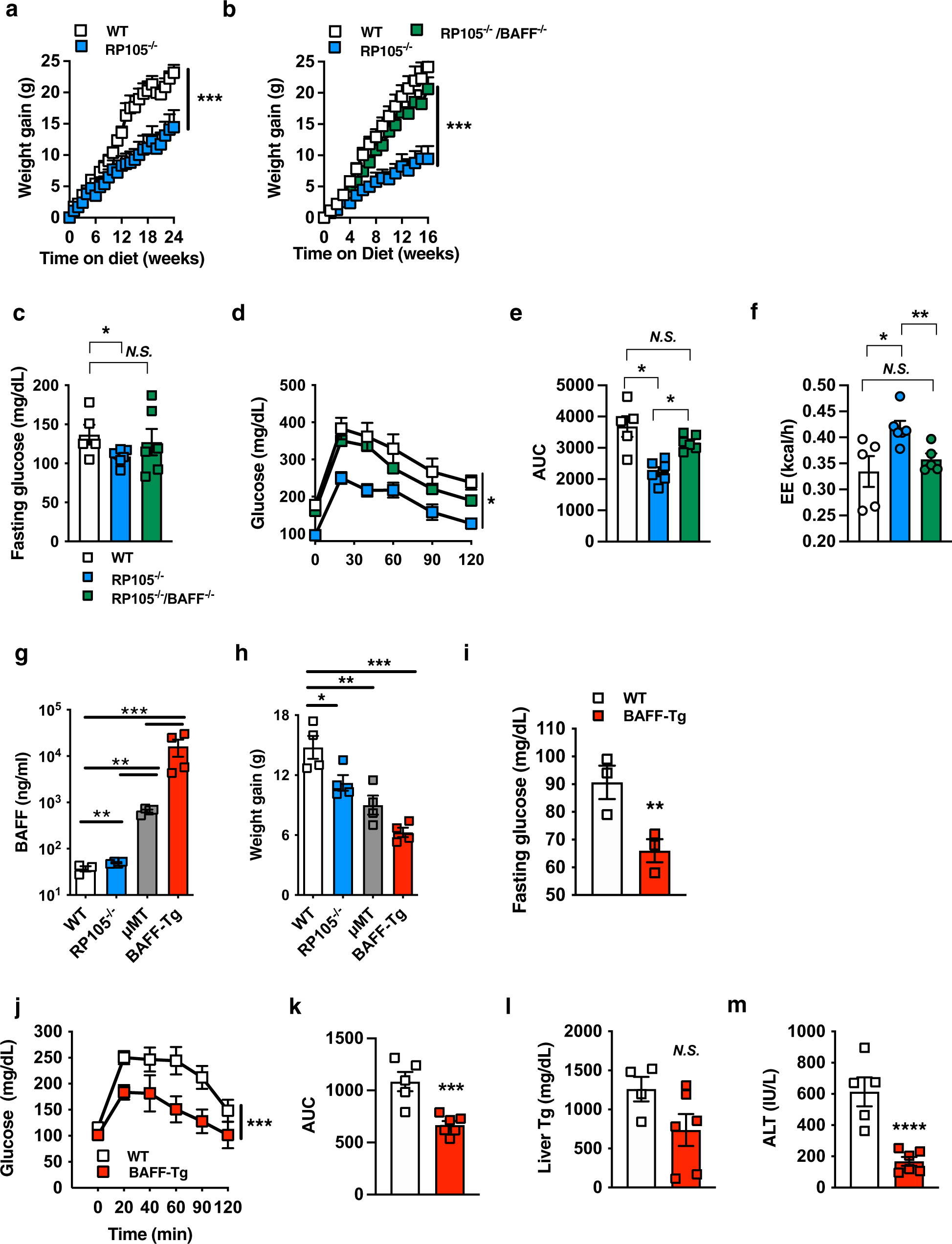 A BAFF/APRIL axis regulates obesogenic diet-driven weight gain | Nature  Communications