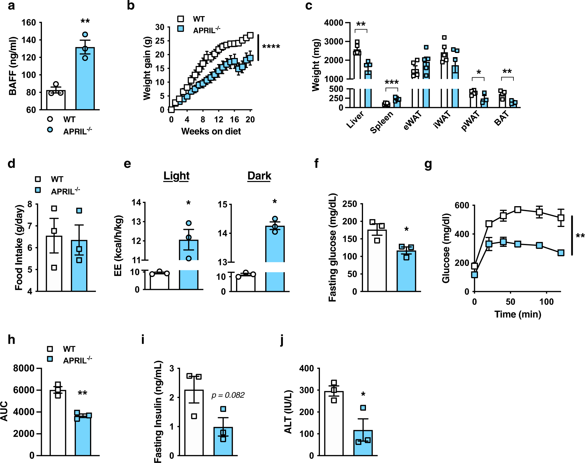 Fig. 5: APRIL-deficient mice are protected from obesity development.