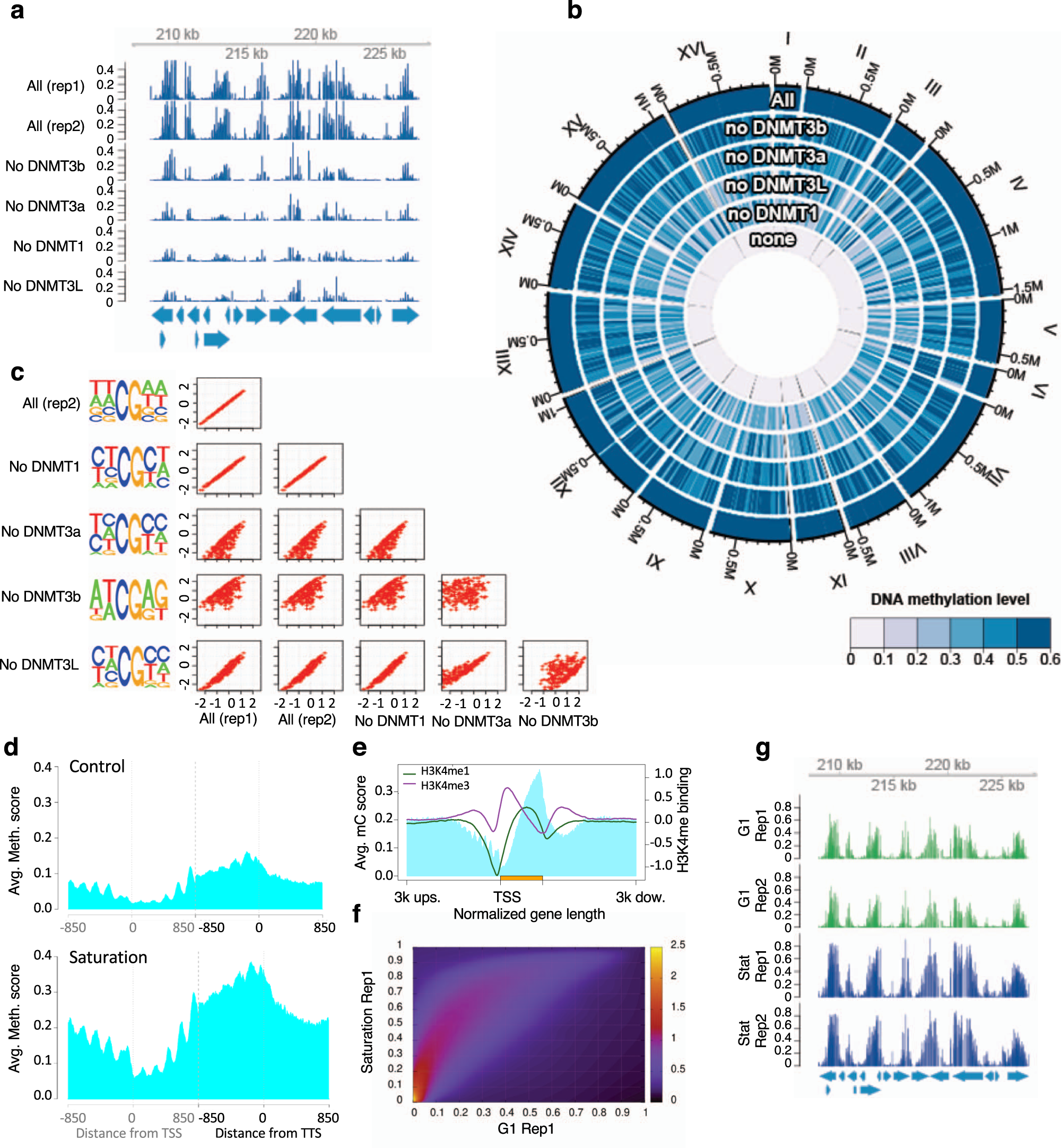 Impact Of Dna Methylation On 3d Genome Structure Nature Communications